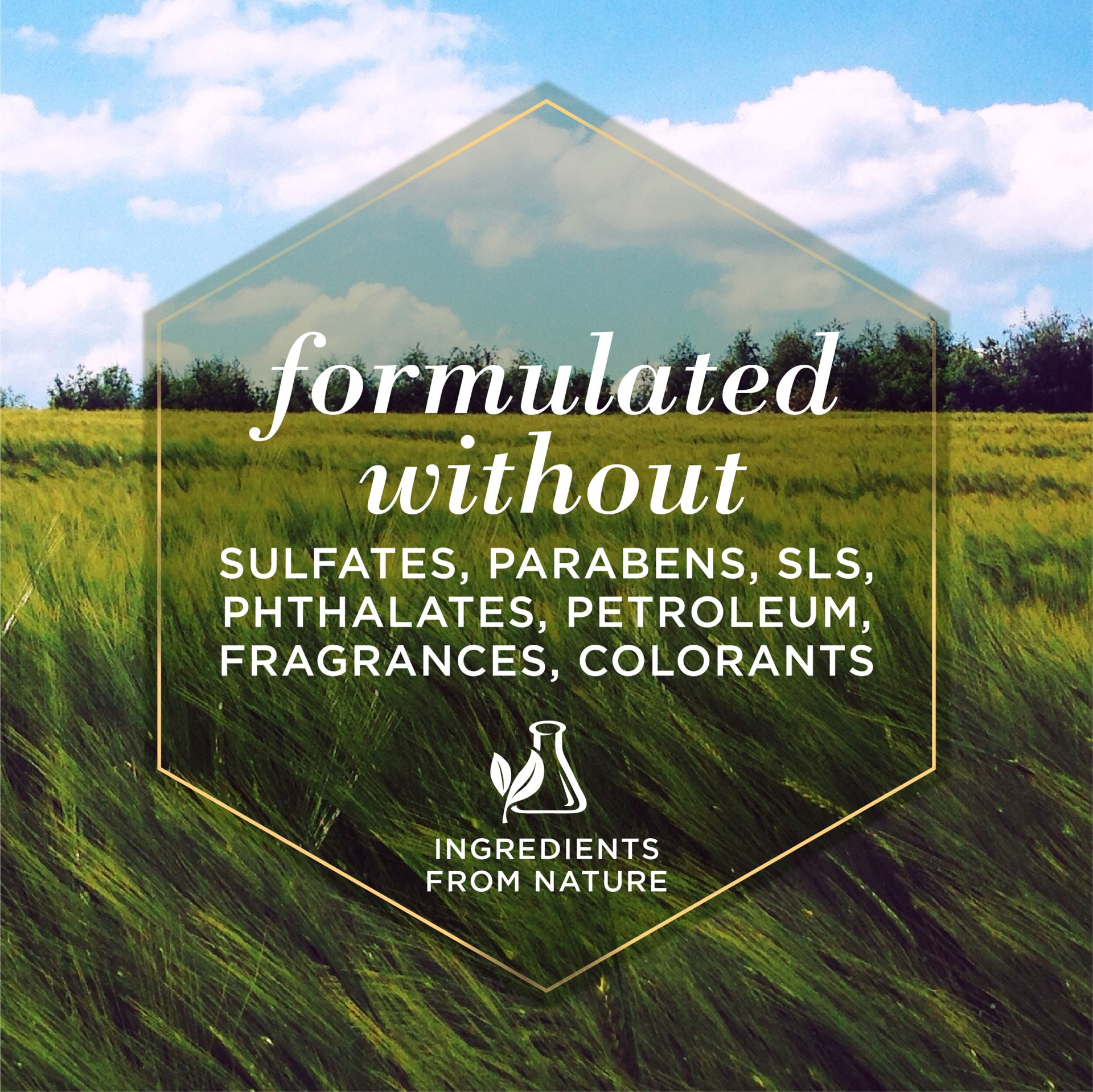 slide 6 of 6, Burt's Bees Dog Grooming wipes, 1 ct