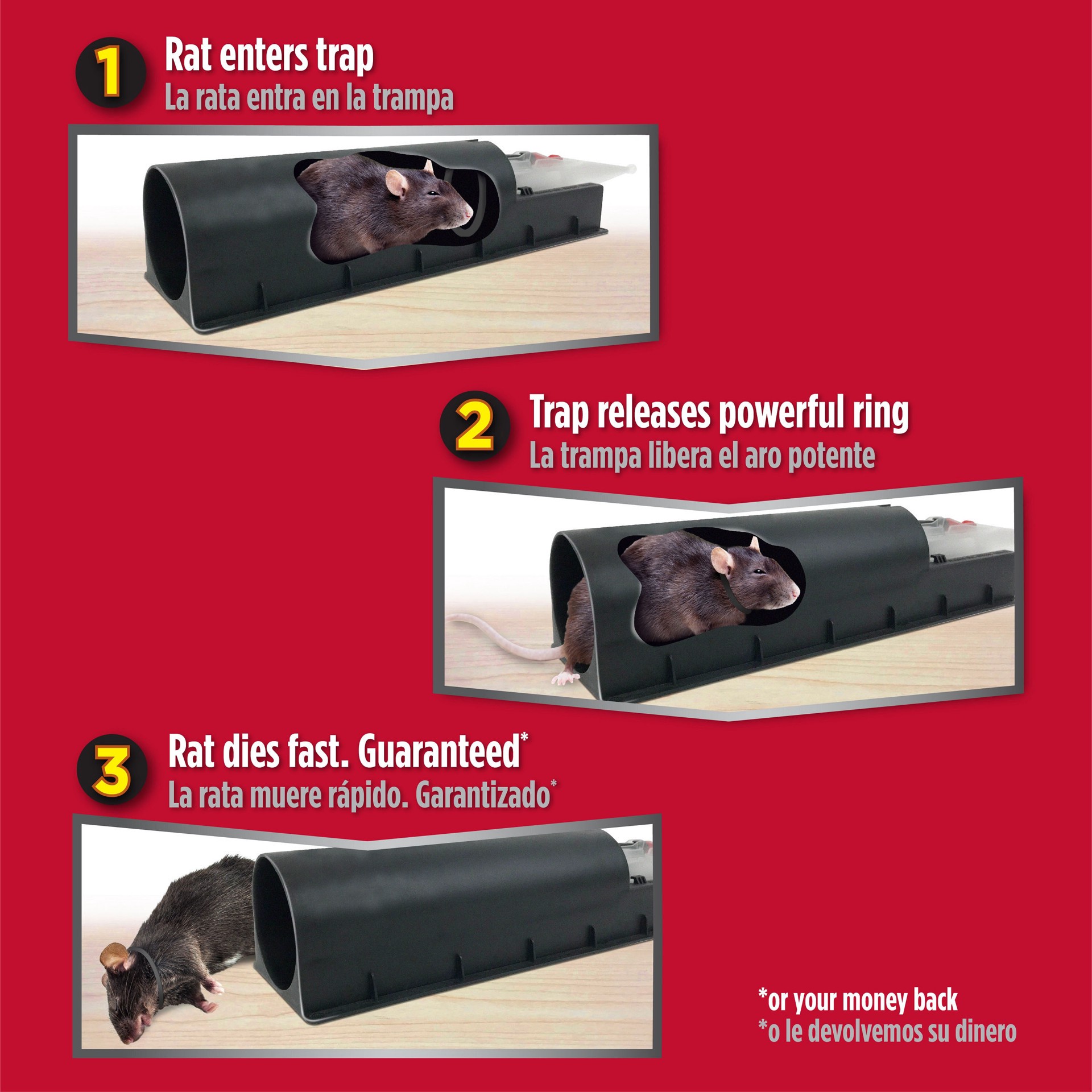 slide 6 of 6, AMDRO Rat Traps, 1 ct