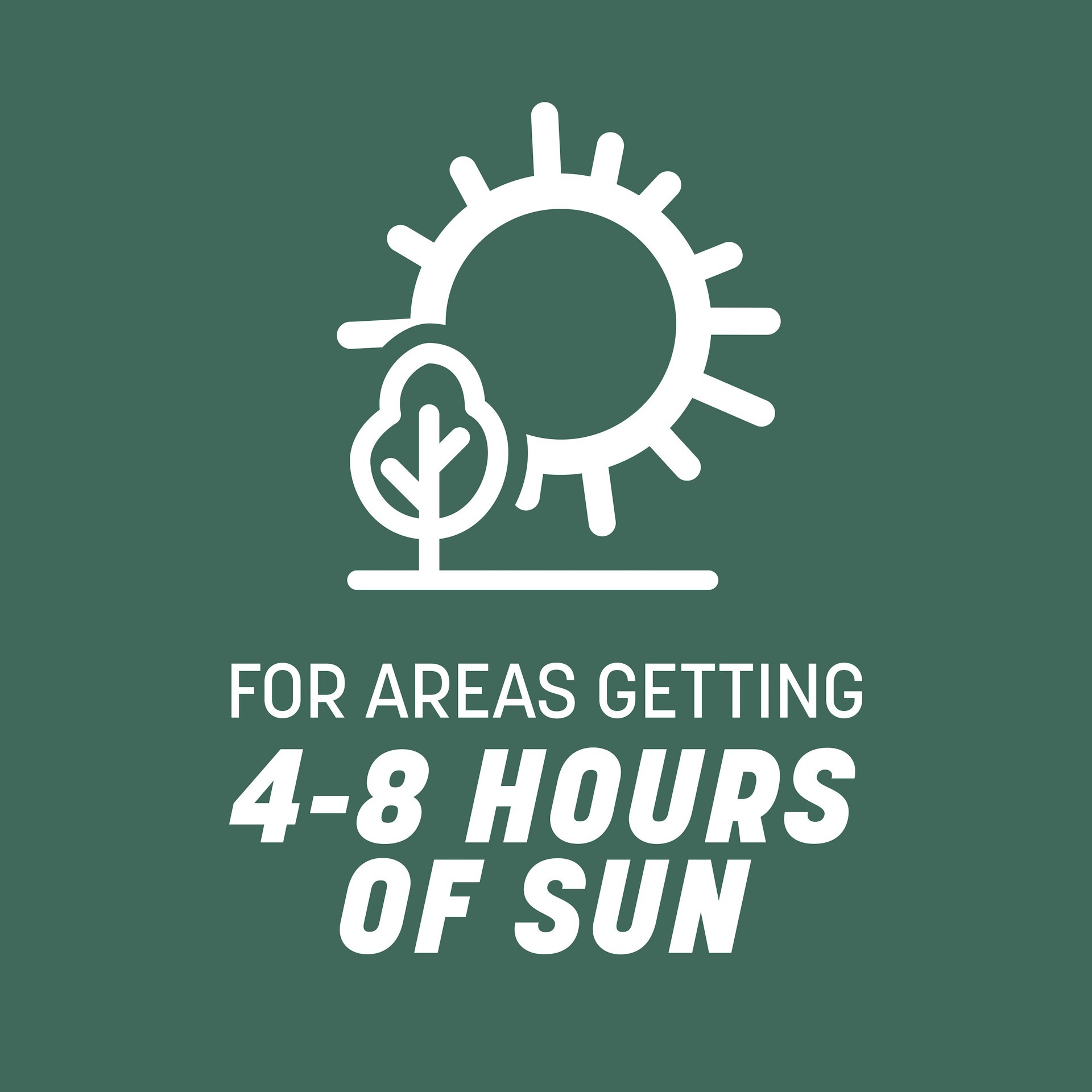 slide 6 of 6, Pennington Kentucky 31 3-lb Tall Fescue Grass Seed, 1 ct