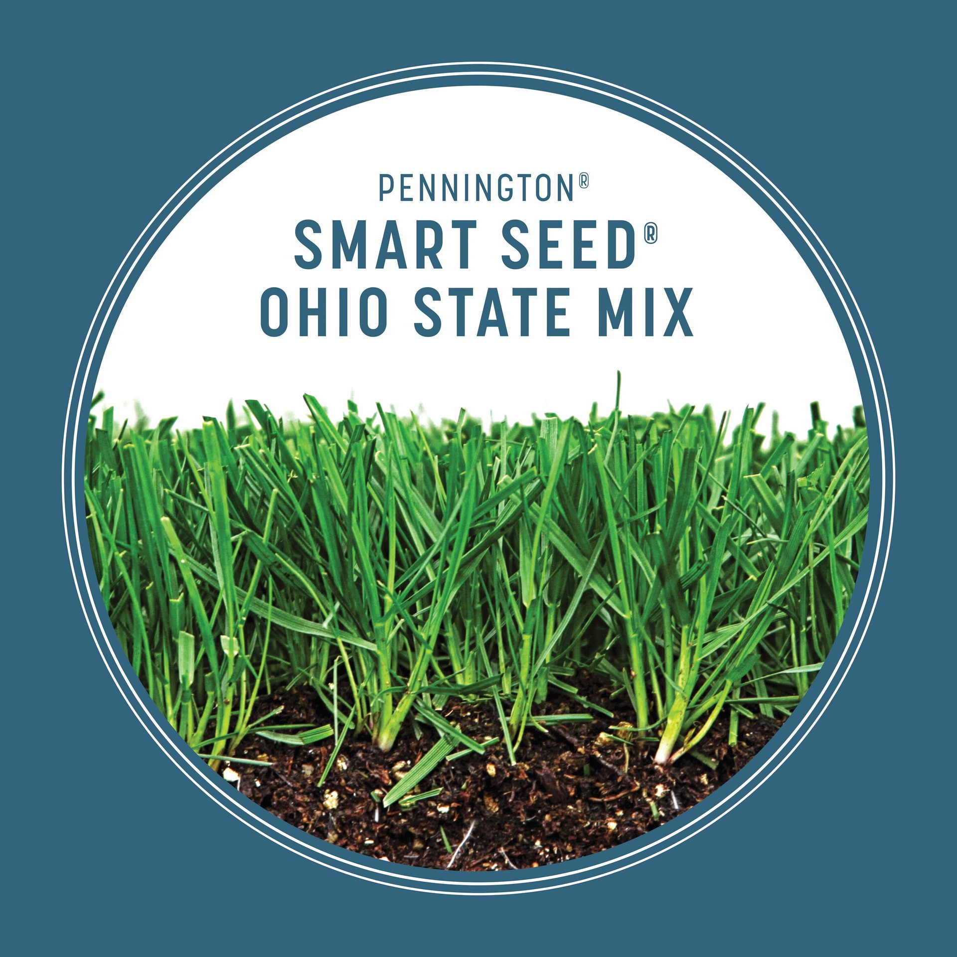 slide 5 of 6, Pennington Smart Seed Ohio State 20-lb Mixture/Blend Grass Seed, 1 ct