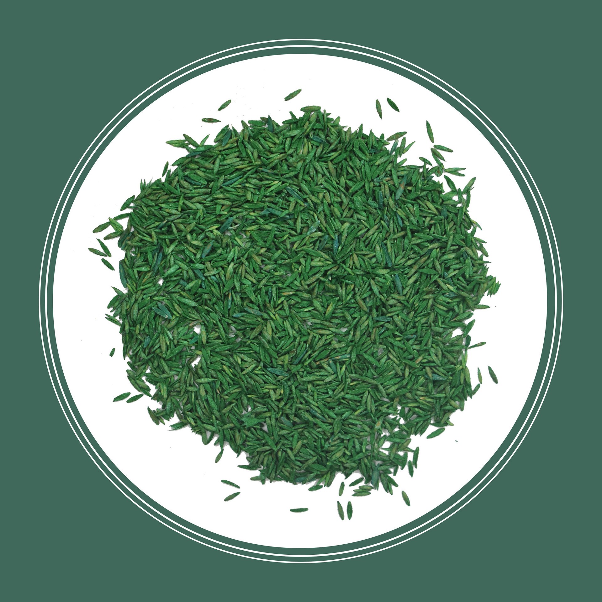 slide 3 of 6, Pennington Kentucky 31 7-lb Tall Fescue Grass Seed, 1 ct