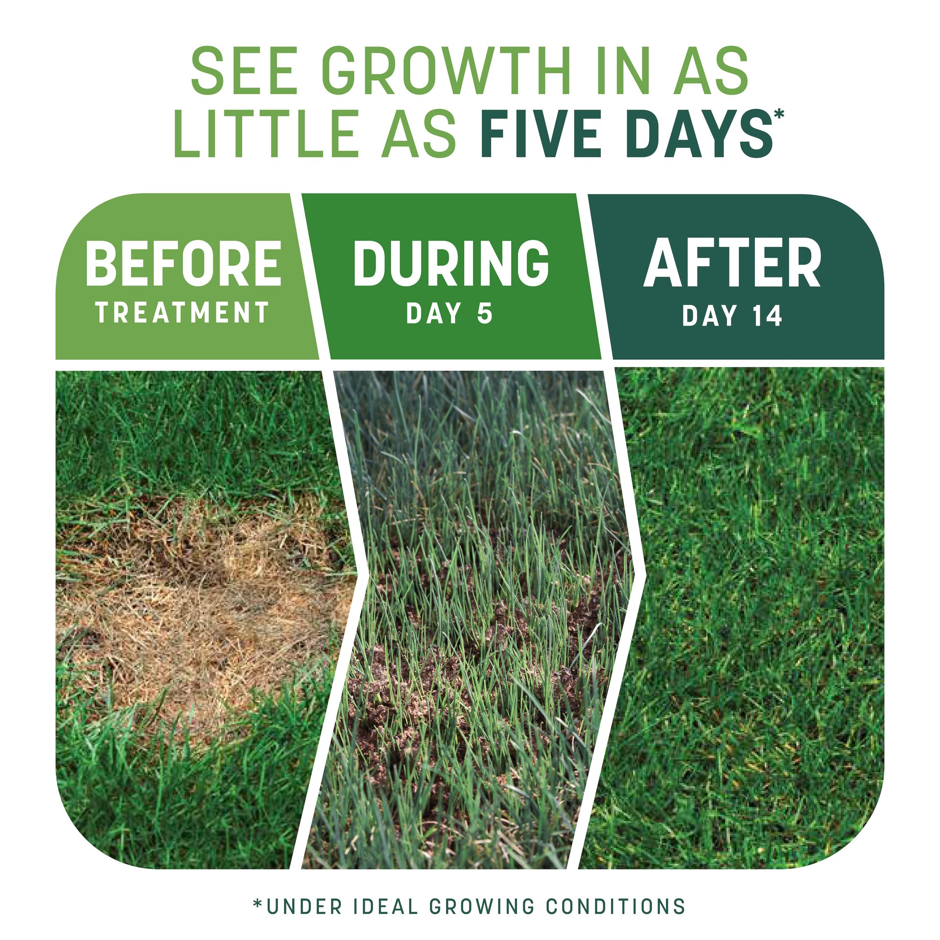 slide 2 of 6, Pennington Smart Patch 30-lbs. Tall fescue Lawn Repair Mix, 1 ct