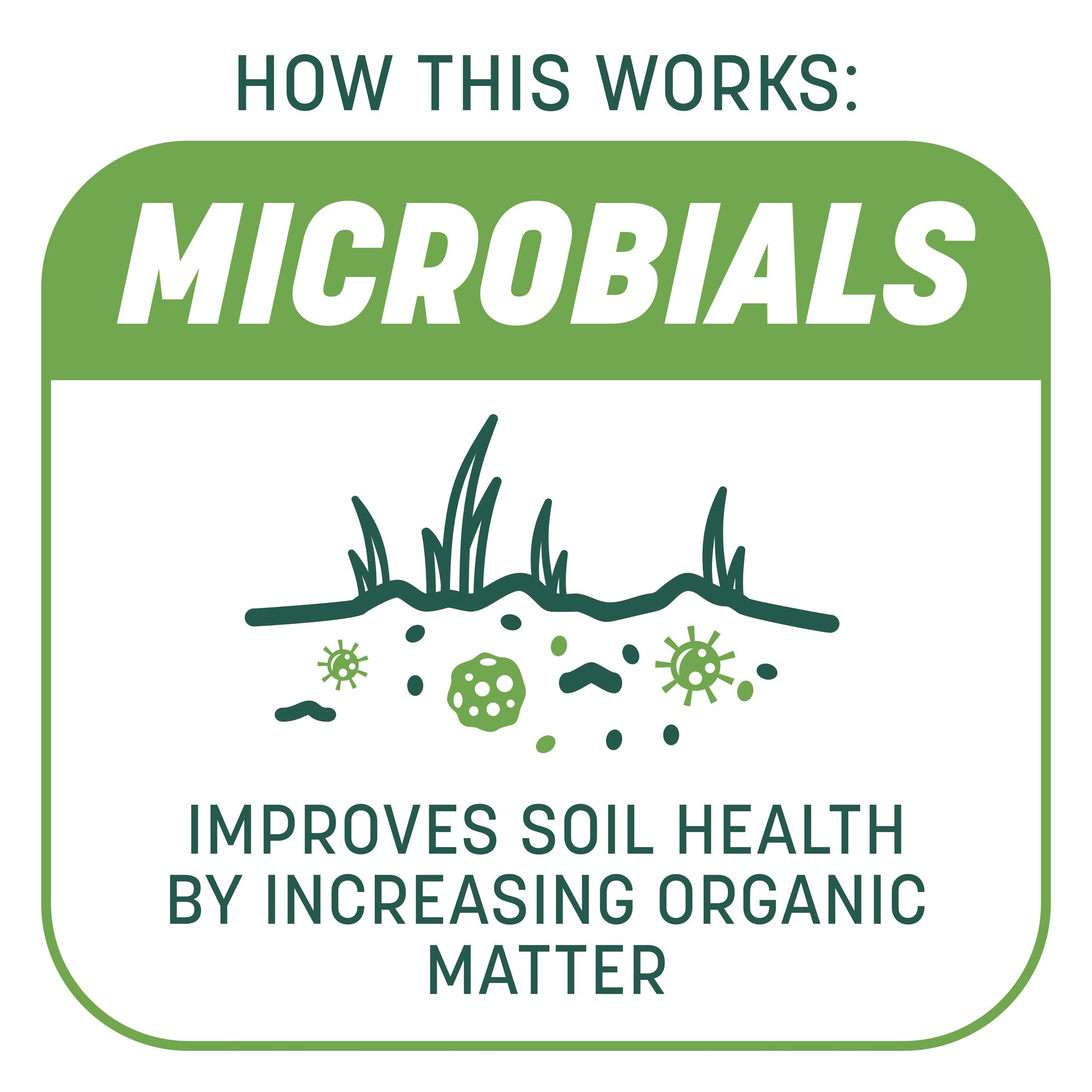 slide 5 of 6, Pennington Smart Patch 30-lbs. Tall fescue Lawn Repair Mix, 1 ct