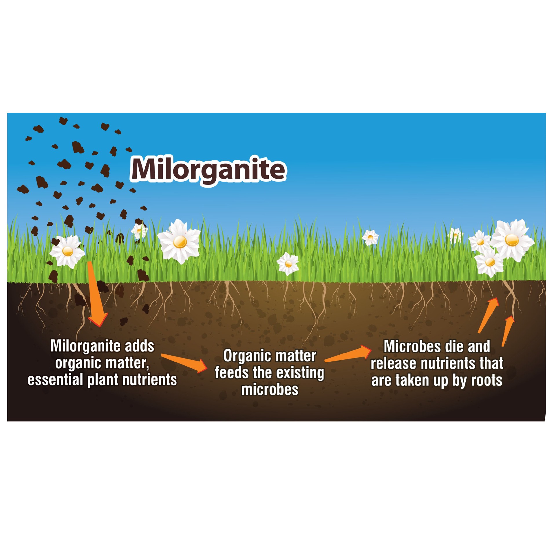 slide 3 of 6, Milorganite Slow Release 32-lb 2500-sq ft 6-4-0 Organic All Purpose Fertilizer, 1 ct