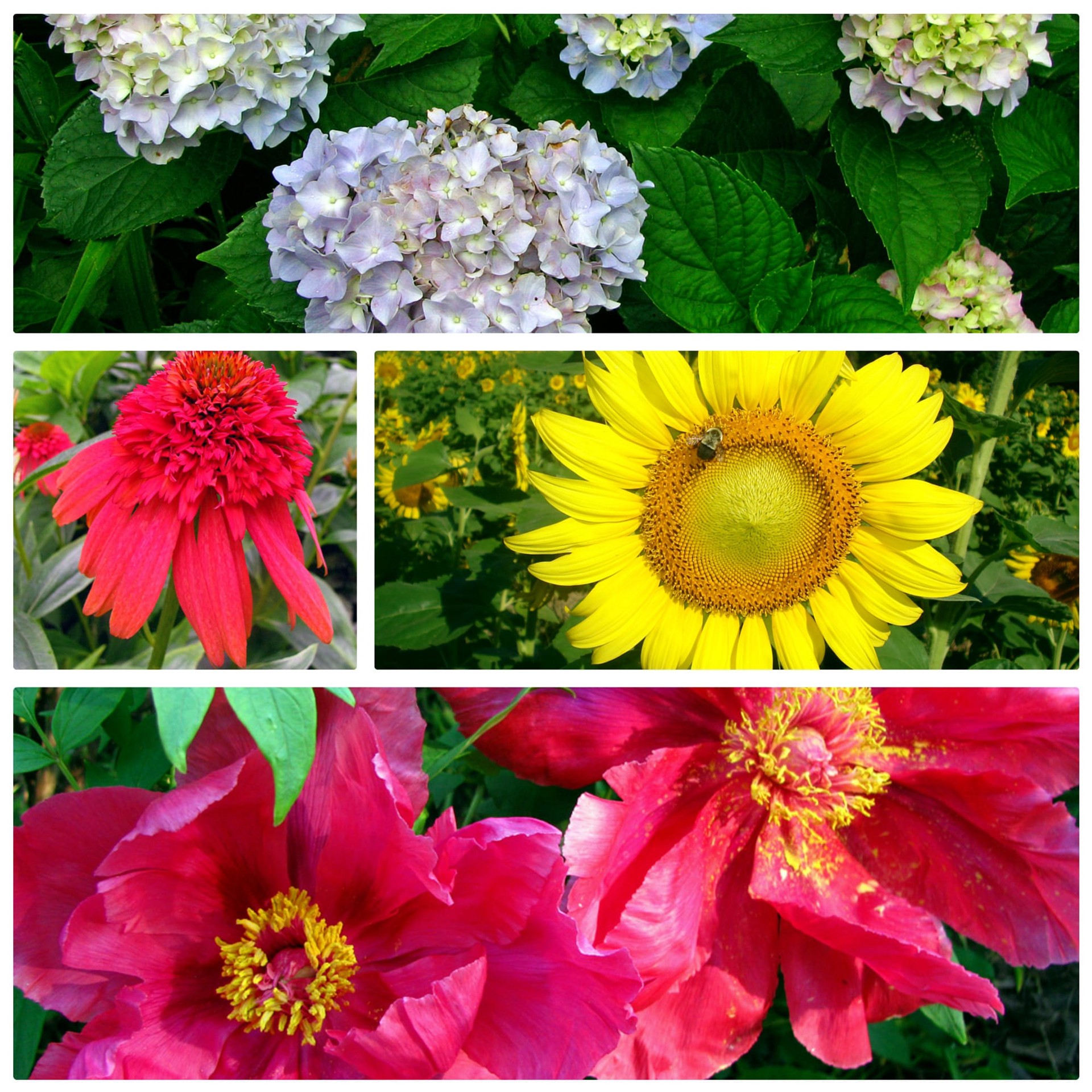 slide 4 of 6, Milorganite Slow Release 32-lb 2500-sq ft 6-4-0 Organic All Purpose Fertilizer, 1 ct