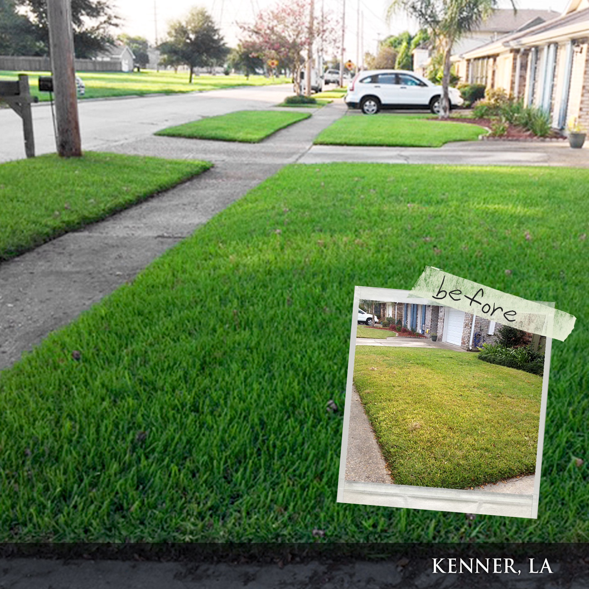 slide 5 of 6, Milorganite Slow Release 32-lb 2500-sq ft 6-4-0 Organic All Purpose Fertilizer, 1 ct