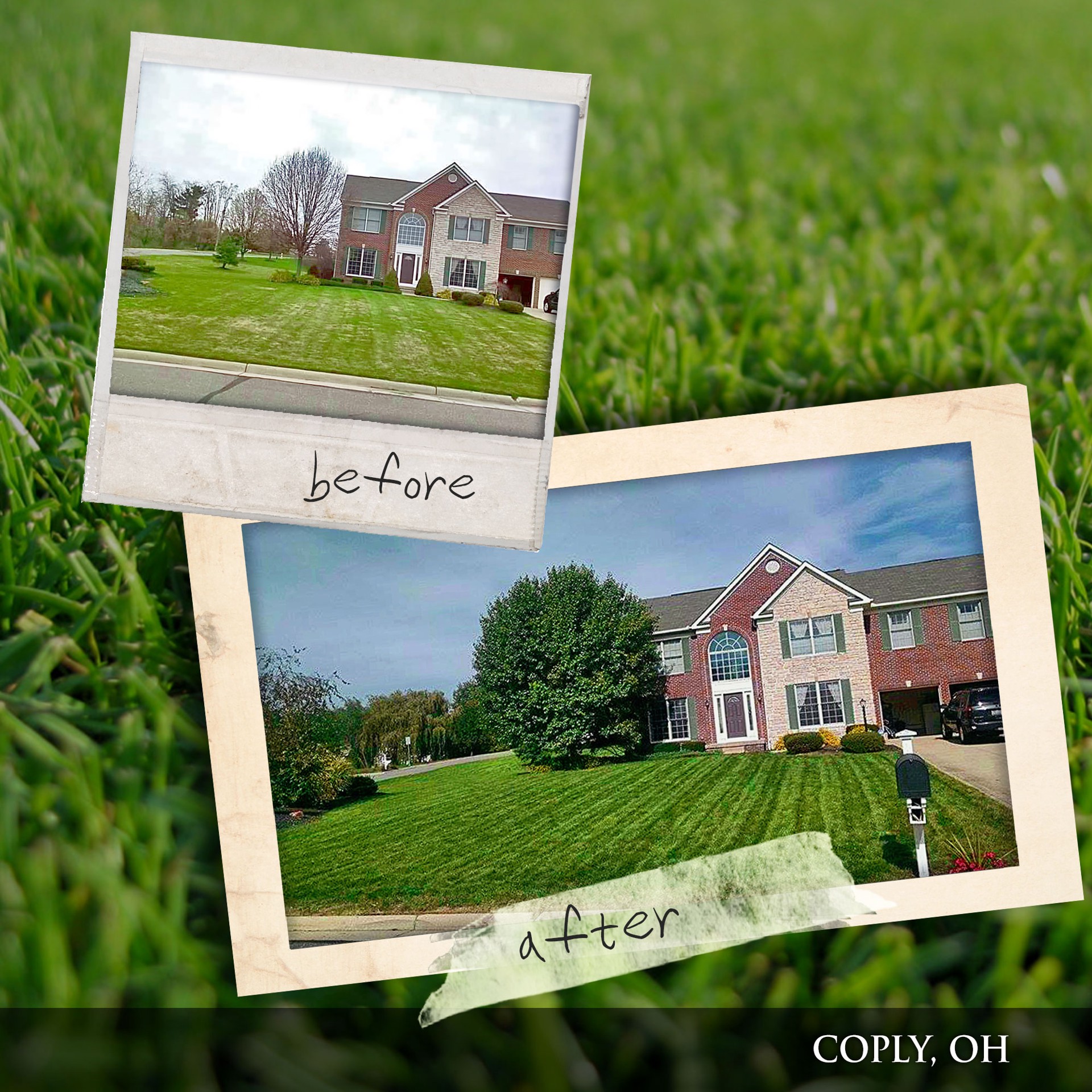 slide 6 of 6, Milorganite Slow Release 32-lb 2500-sq ft 6-4-0 Organic All Purpose Fertilizer, 1 ct