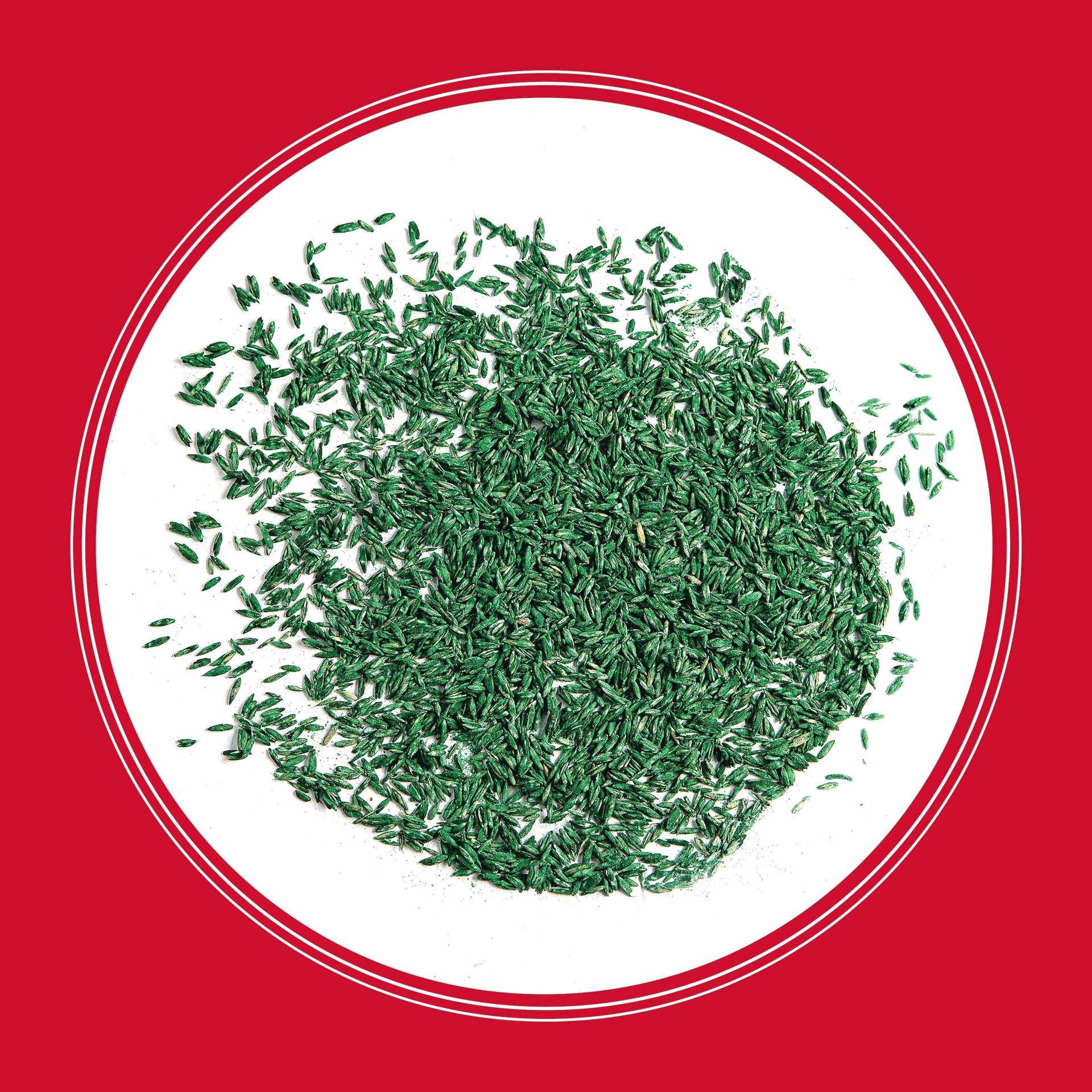 slide 3 of 6, Pennington The Rebels 40-lb Tall Fescue Grass Seed, 1 ct