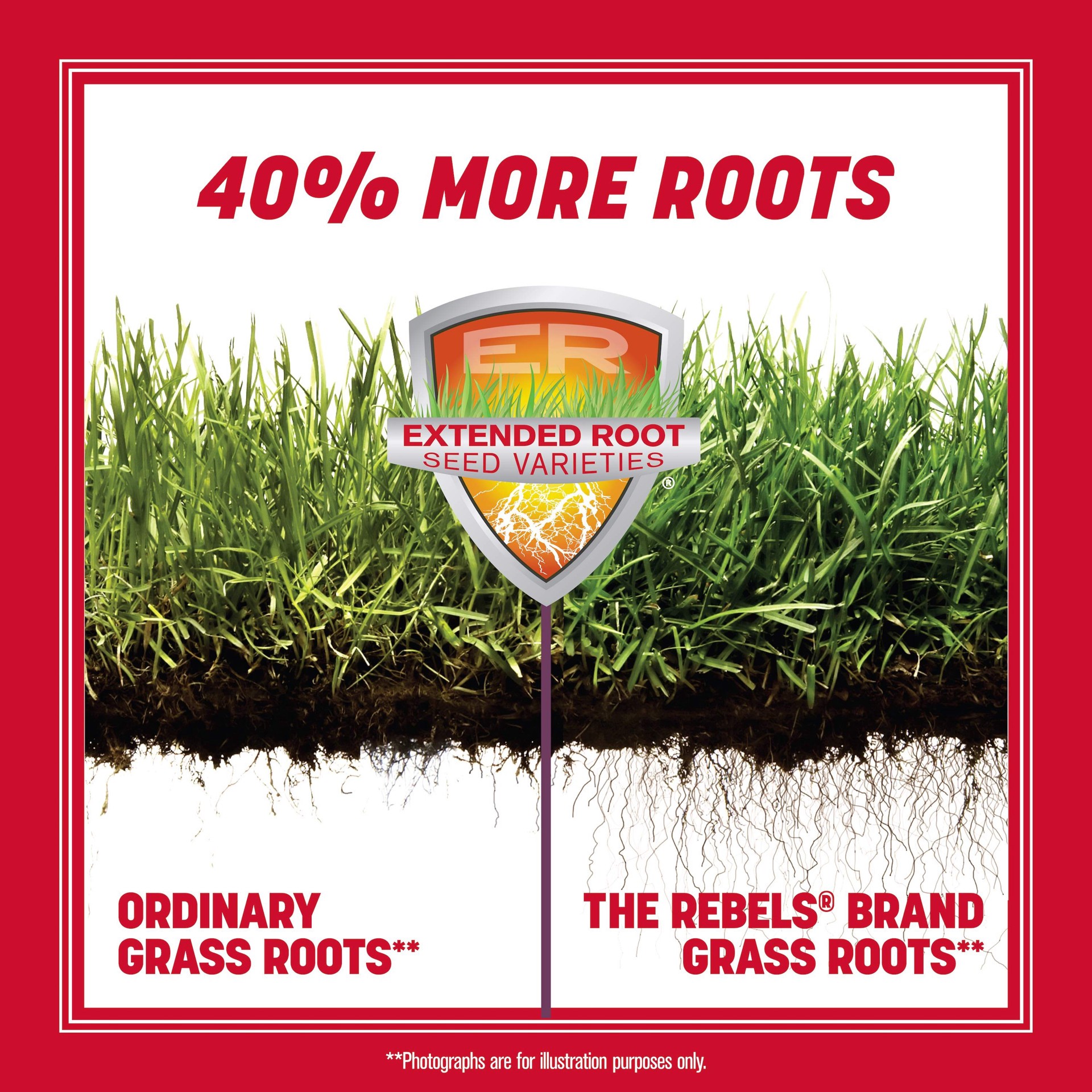 slide 5 of 6, Pennington The Rebels 40-lb Tall Fescue Grass Seed, 1 ct