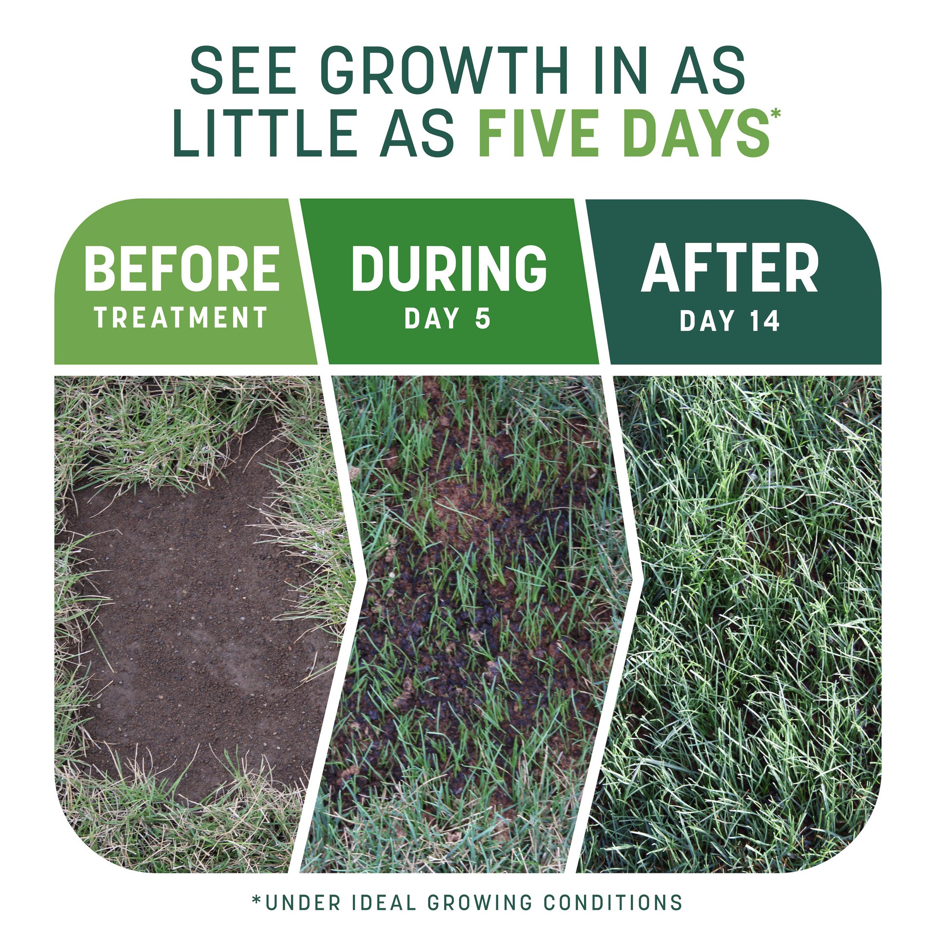 slide 2 of 6, Pennington Smart Patch 30-lbs. Sun and shade Lawn Repair Mix, 1 ct