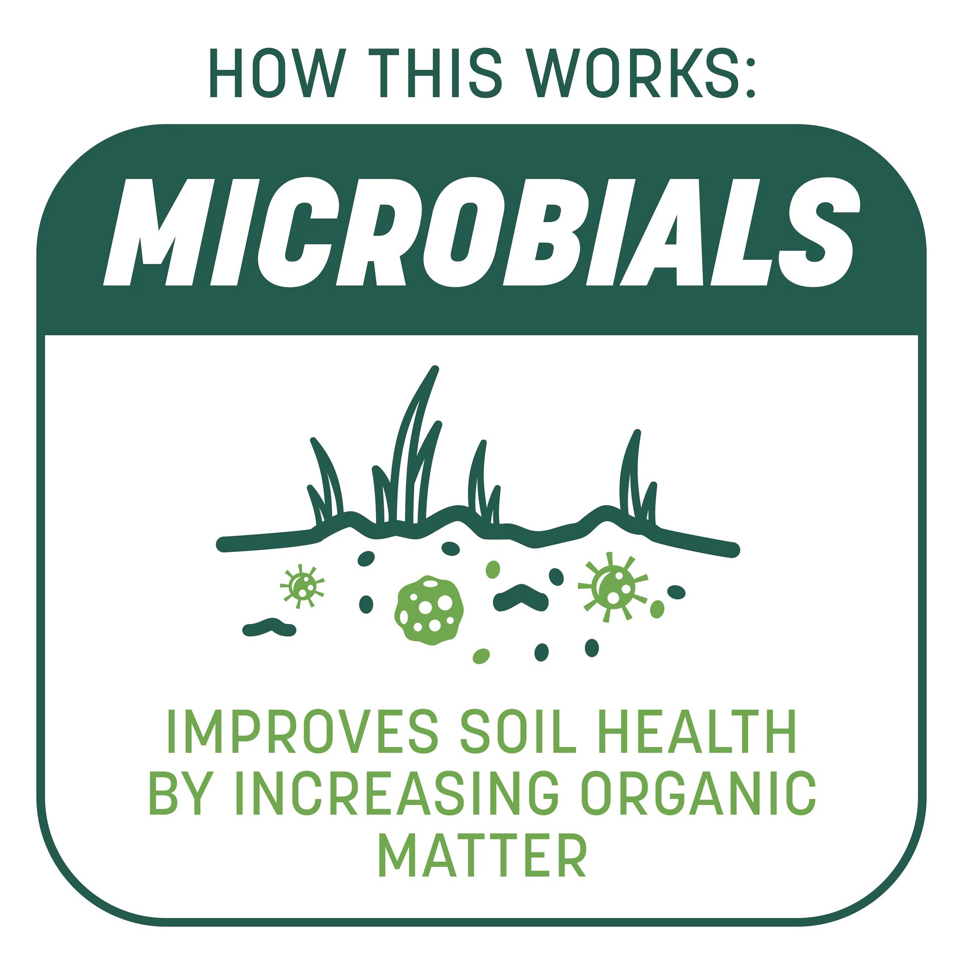 slide 5 of 6, Pennington Smart Patch 30-lbs. Sun and shade Lawn Repair Mix, 1 ct