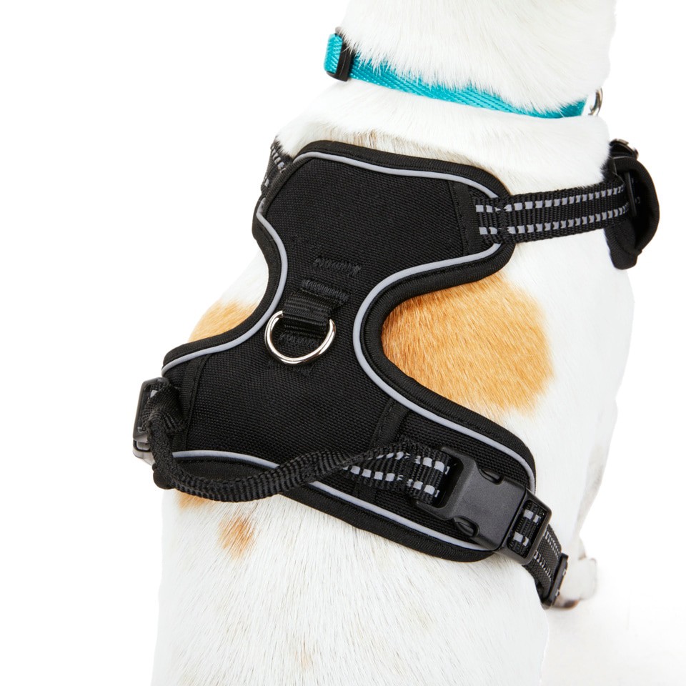 slide 5 of 5, EveryYay Multiple colors/finishes Dog harness , Medium, 1 ct