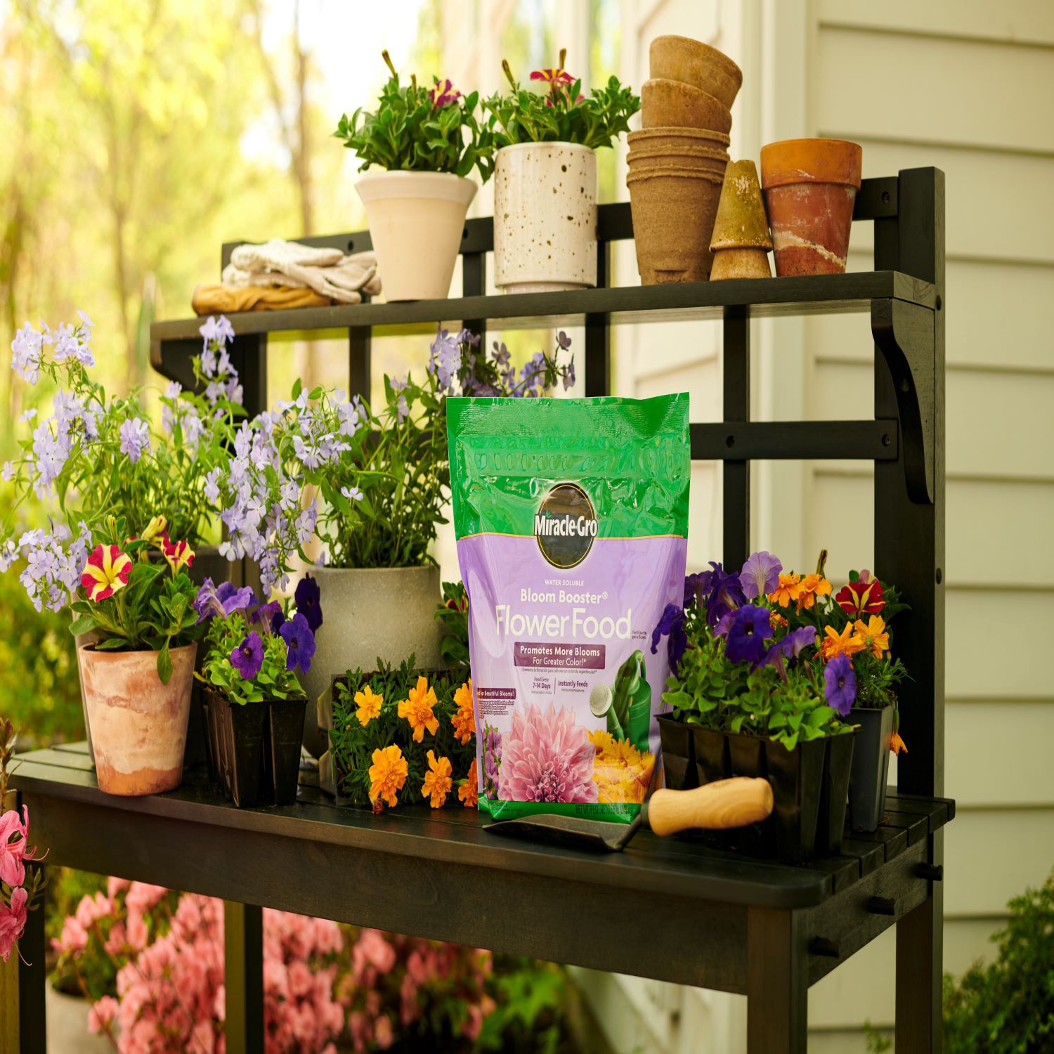 slide 3 of 6, Miracle-Gro Water Soluble Bloom Booster 5.5-lb 15-30-15 Flower Food, 1 ct