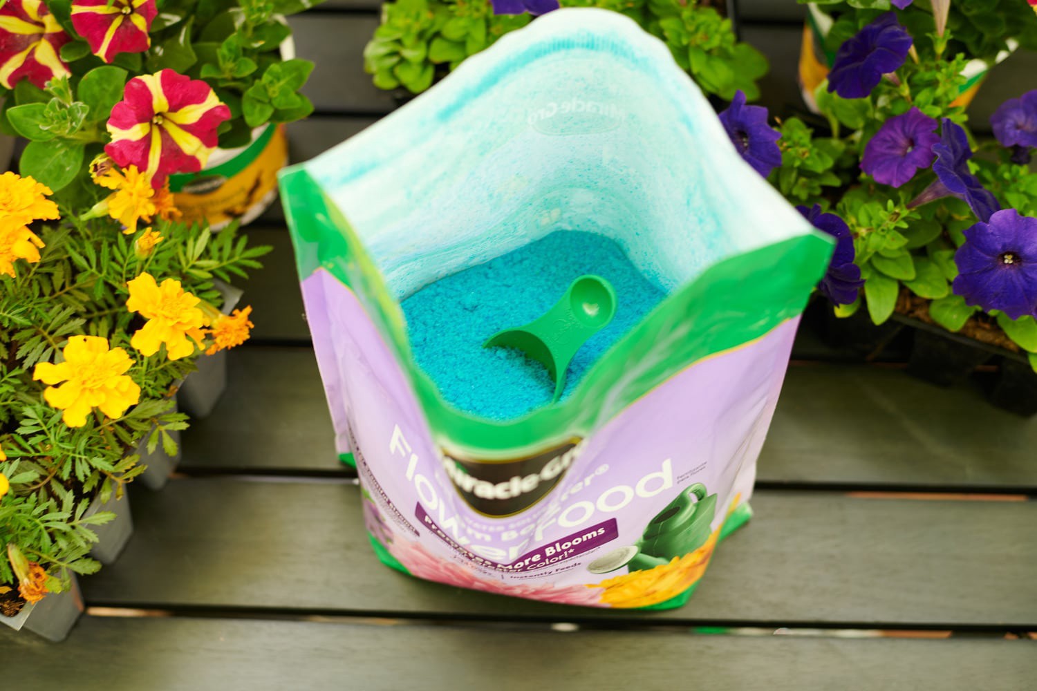 slide 4 of 6, Miracle-Gro Water Soluble Bloom Booster 5.5-lb 15-30-15 Flower Food, 1 ct