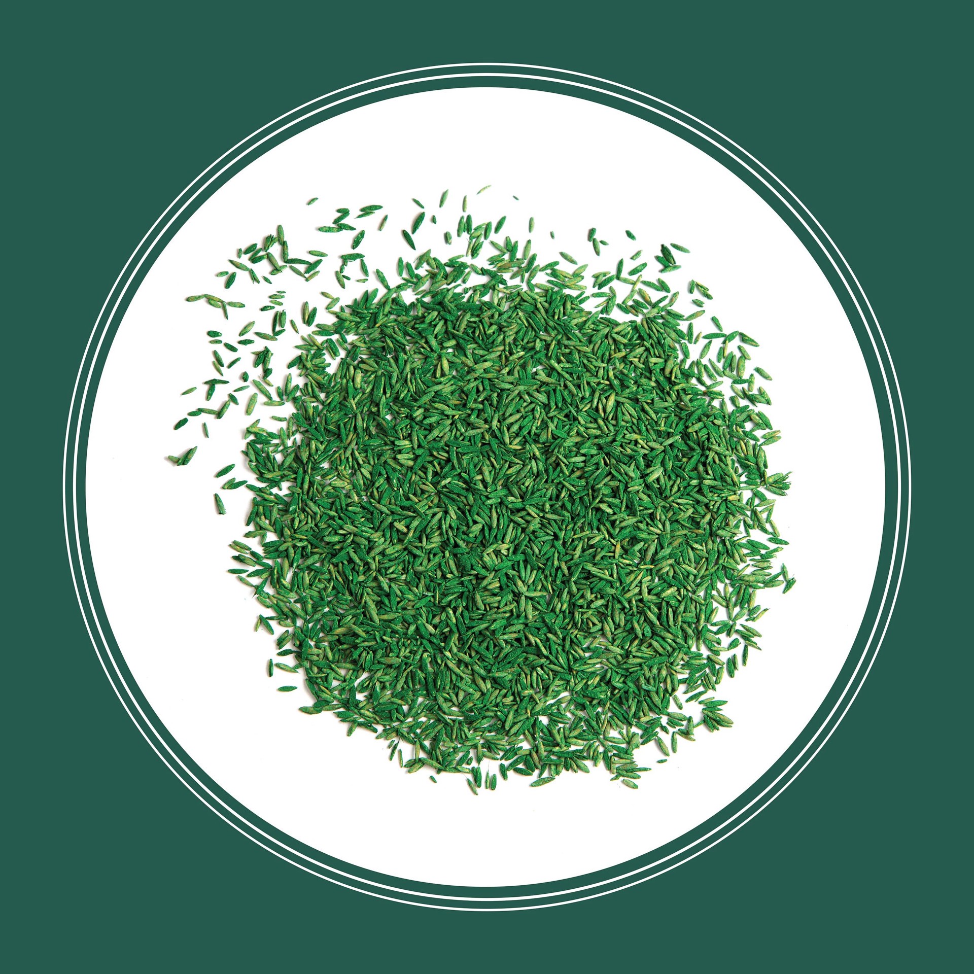 slide 4 of 6, Pennington Smart Seed Sun and Shade North 3-lb Mixture/Blend Grass Seed, 1 ct