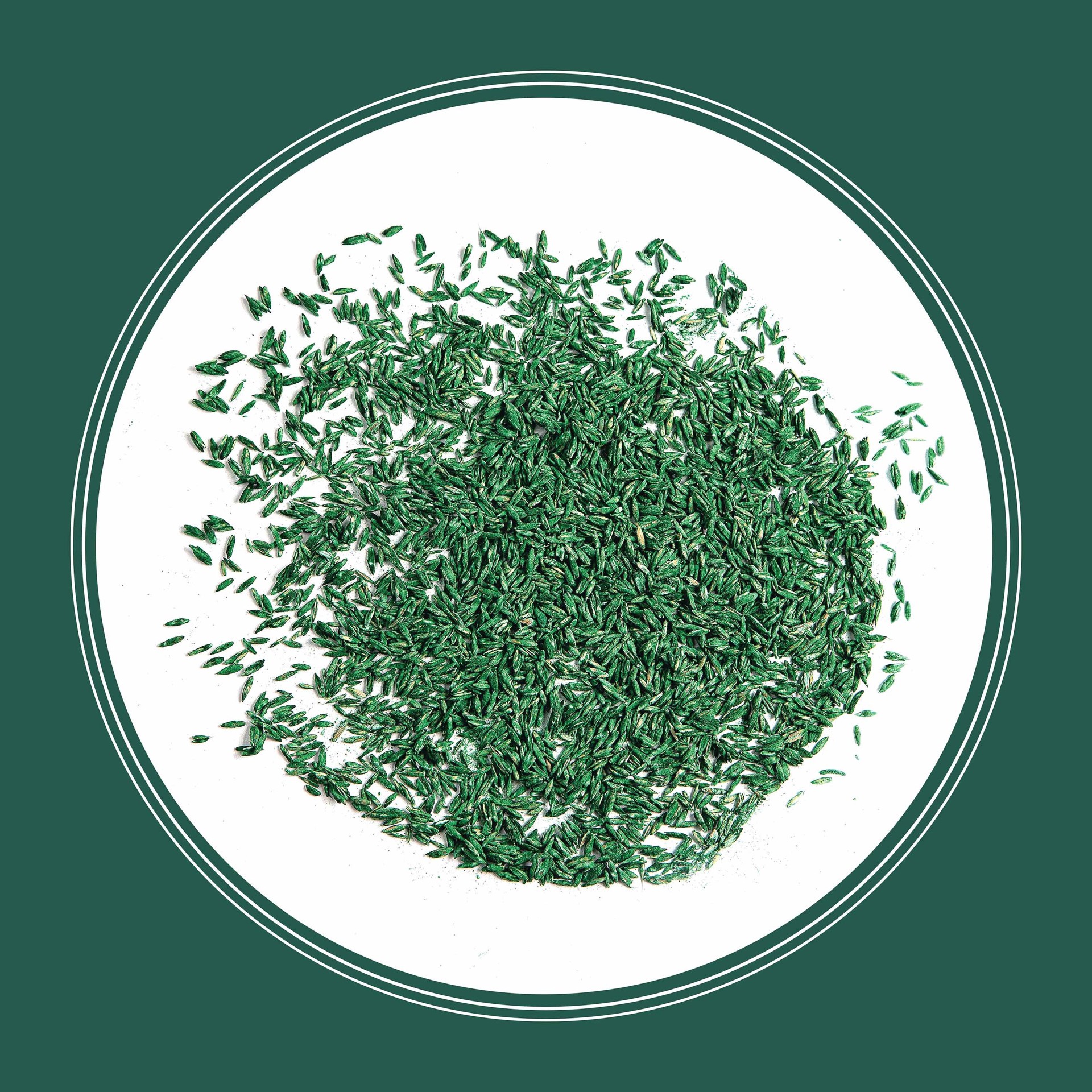 slide 3 of 6, Pennington Smart Seed Sun and Shade South 3-lb Mixture/Blend Grass Seed, 1 ct