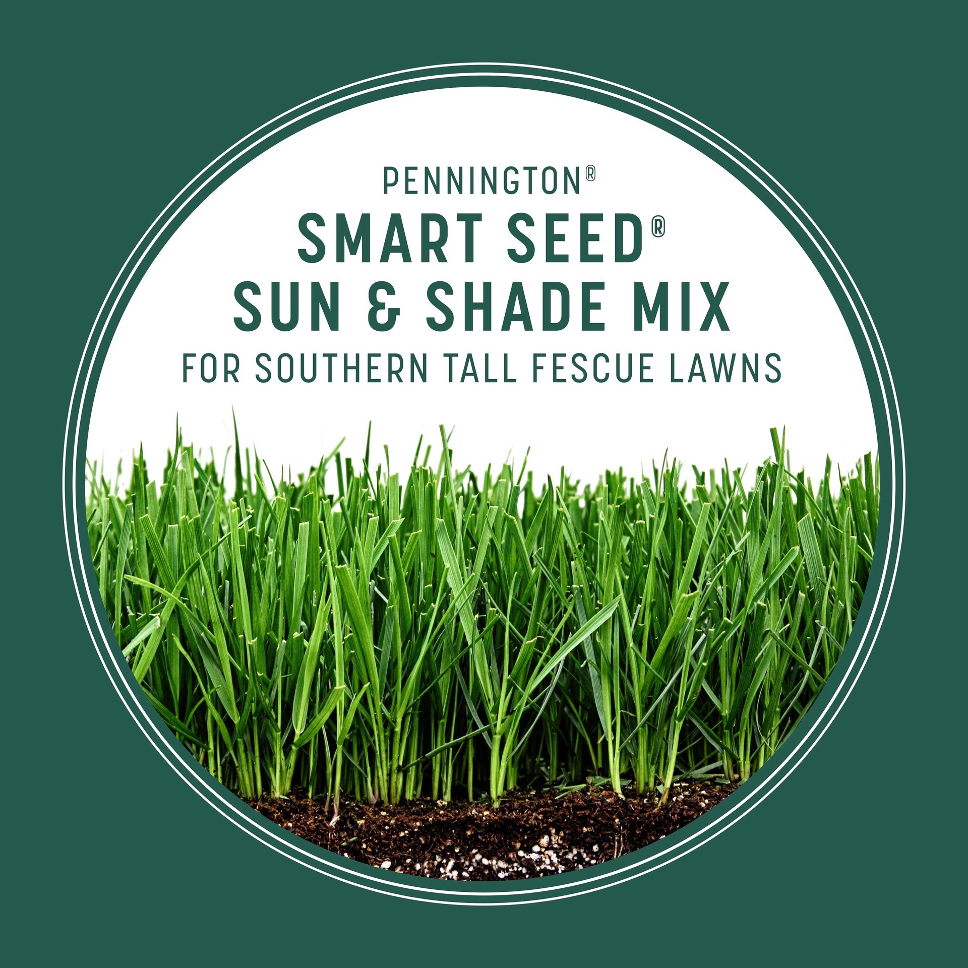 slide 5 of 6, Pennington Smart Seed Sun and Shade South 3-lb Mixture/Blend Grass Seed, 1 ct