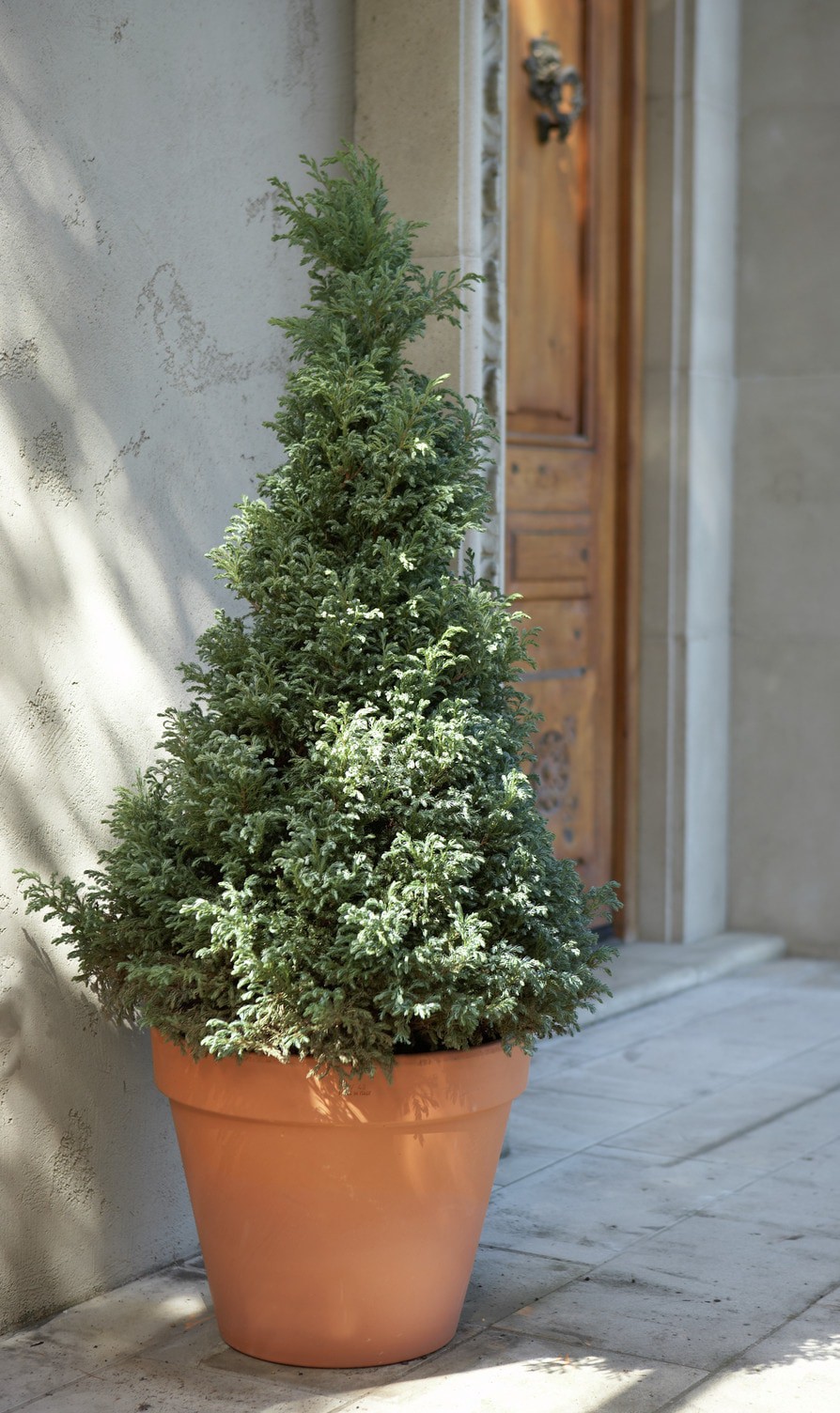 slide 2 of 6, Pennington 17.0-in W x 4.72-in L Orange Clay Indoor/Outdoor Planter, 1 ct