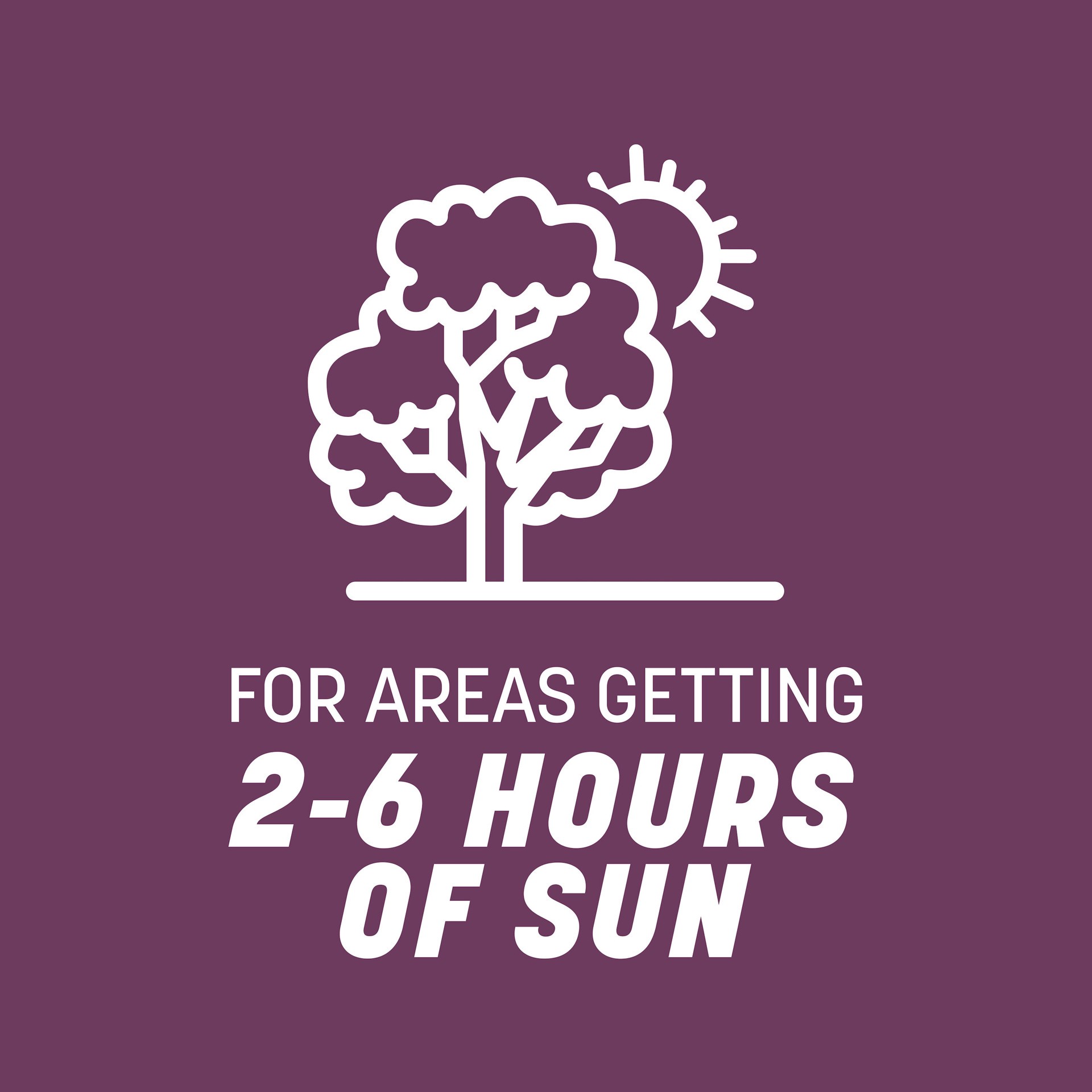 slide 6 of 6, Pennington The Rebels 7-lb Mixture/Blend Grass Seed, 1 ct