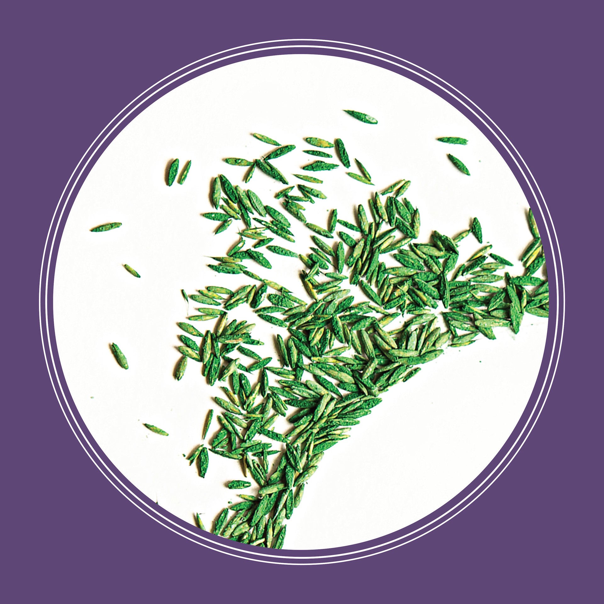 slide 3 of 6, Pennington Smart Seed Dense Shade 7-lb Mixture/Blend Grass Seed, 1 ct