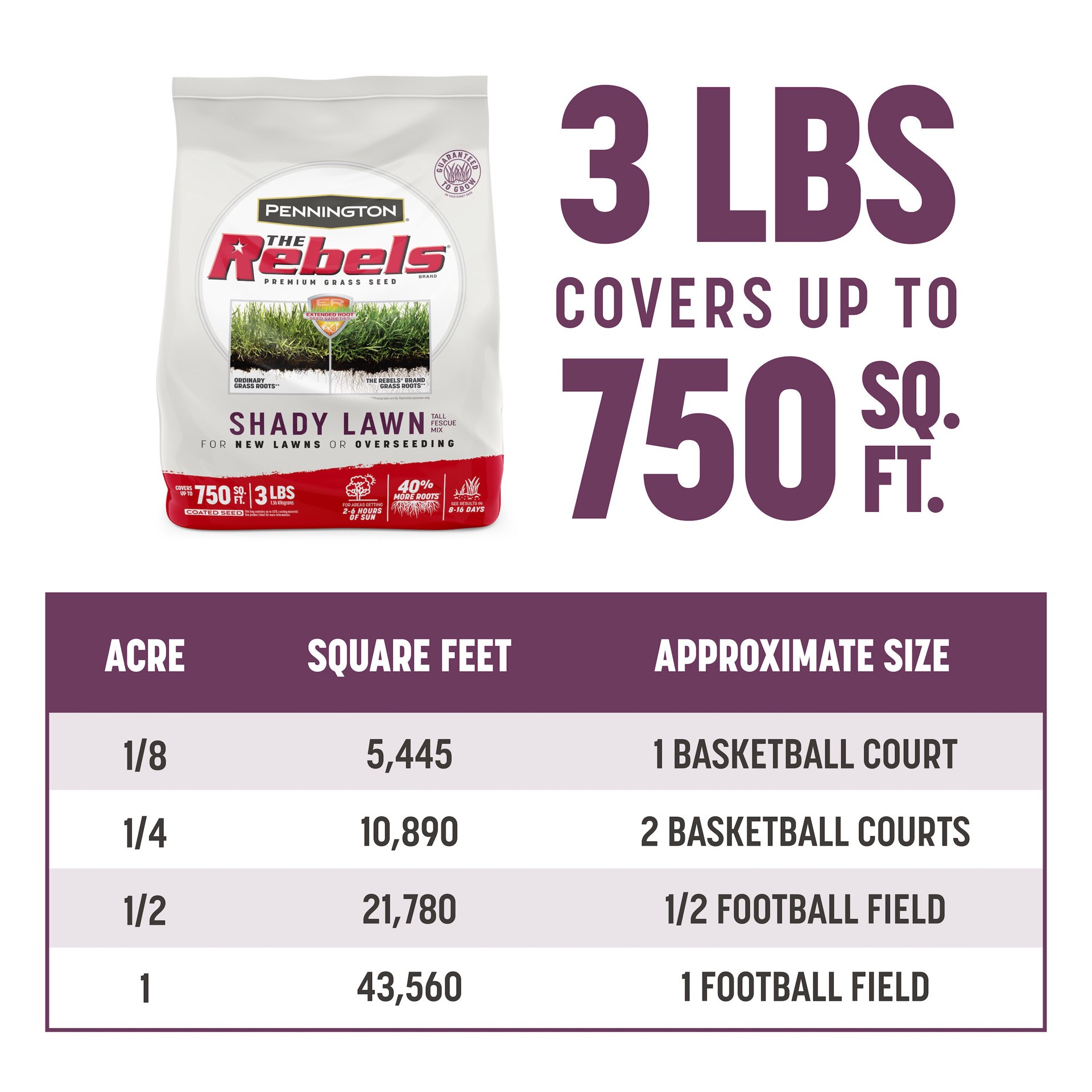 slide 4 of 6, Pennington The Rebels 3-lb Mixture/Blend Grass Seed, 1 ct