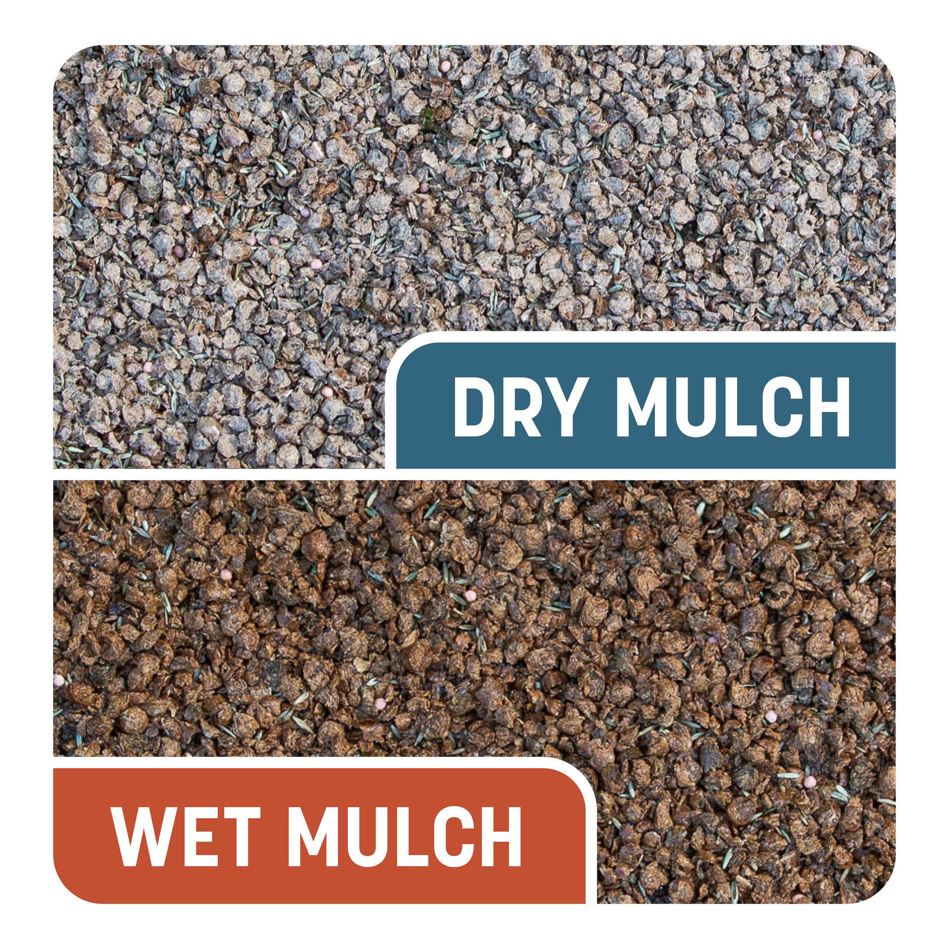 slide 3 of 6, Pennington Smart Patch 5-lbs. Bermuda Lawn Repair Mix, 1 ct