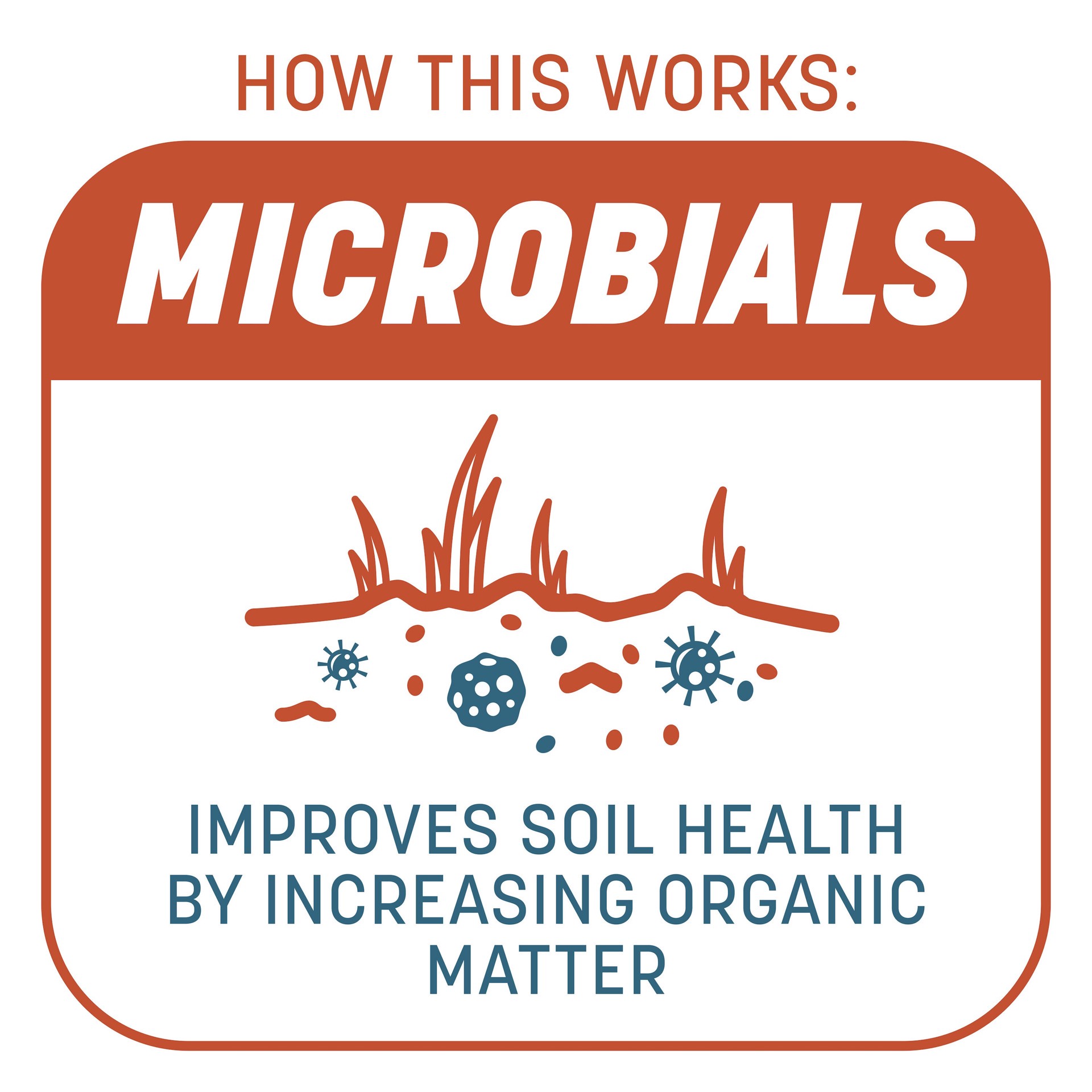 slide 6 of 6, Pennington Smart Patch 5-lbs. Bermuda Lawn Repair Mix, 1 ct