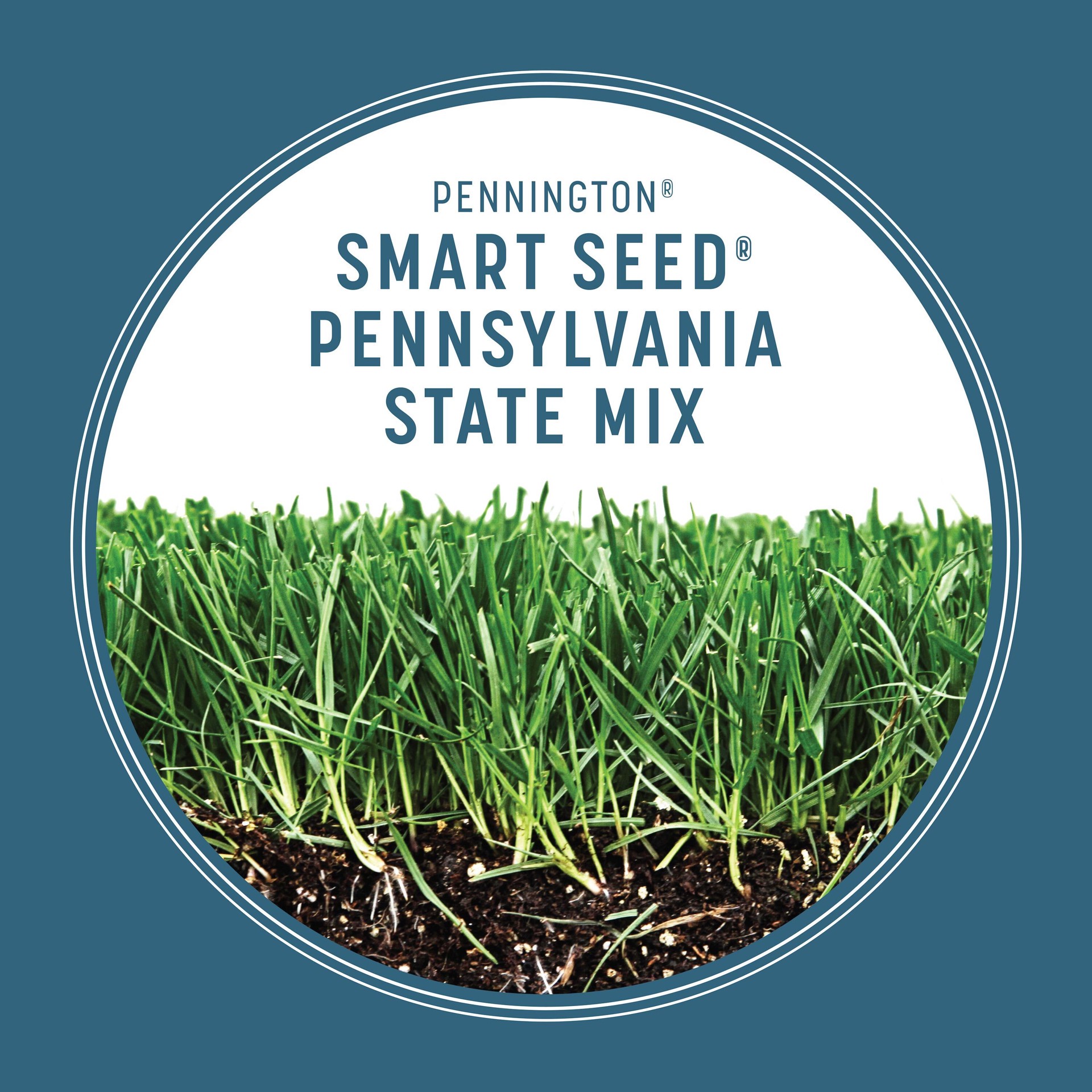 slide 5 of 6, Pennington Smart Seed Penn State 7-lb Mixture/Blend Grass Seed, 1 ct