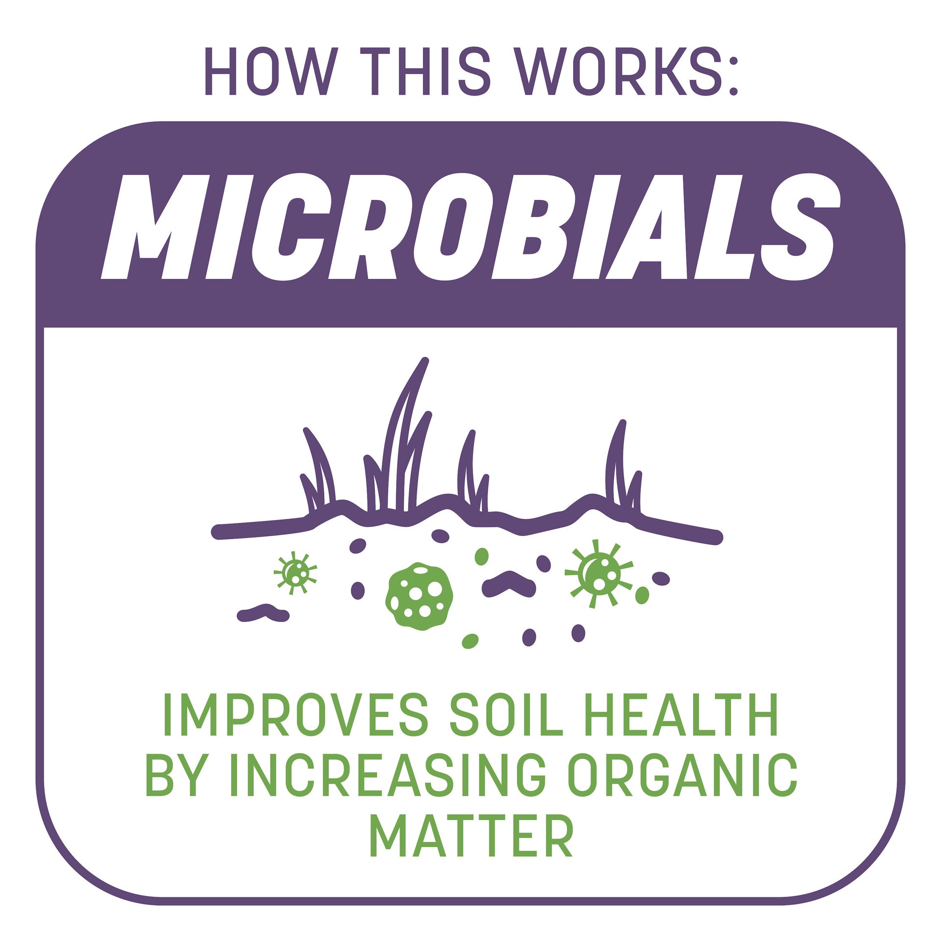 slide 4 of 6, Pennington Smart Patch Dense Shade 5-lbs. Fescue Lawn Repair Mix, 1 ct