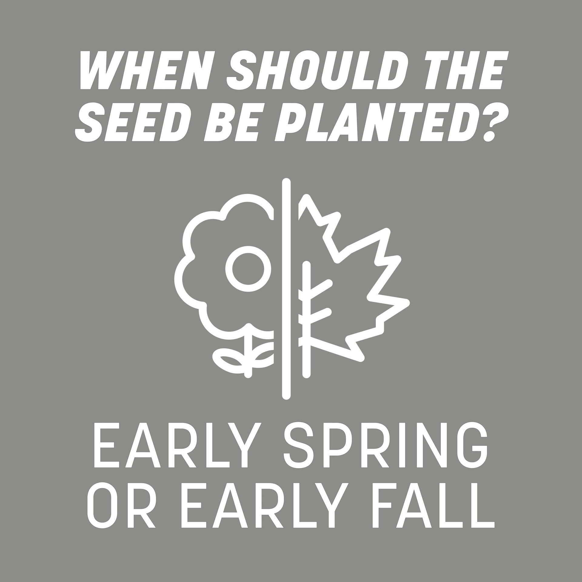 slide 6 of 6, Pennington Contractor's Mix North 40-lb Mixture/Blend Grass Seed, 1 ct