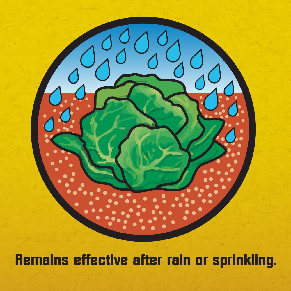 slide 4 of 6, Corry's 8 -lb Pellets Snail and slug killer, 1 ct