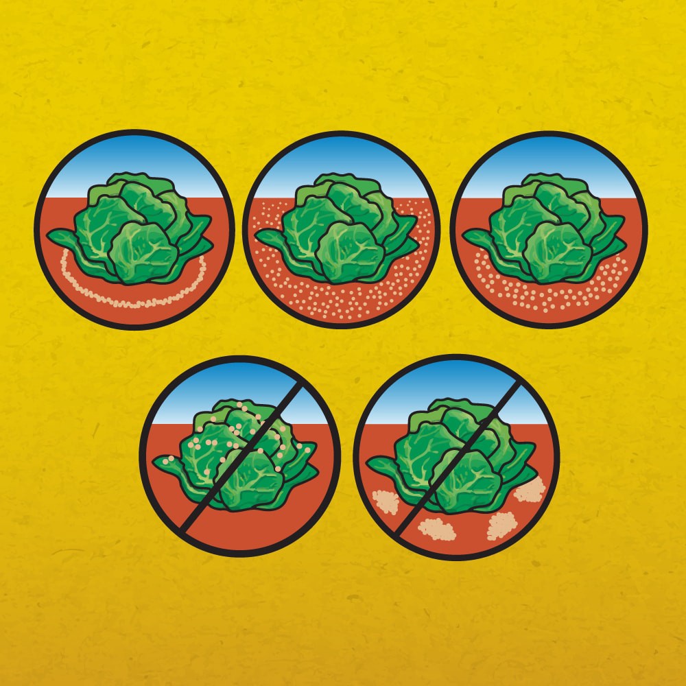 slide 6 of 6, Corry's 8 -lb Pellets Snail and slug killer, 1 ct