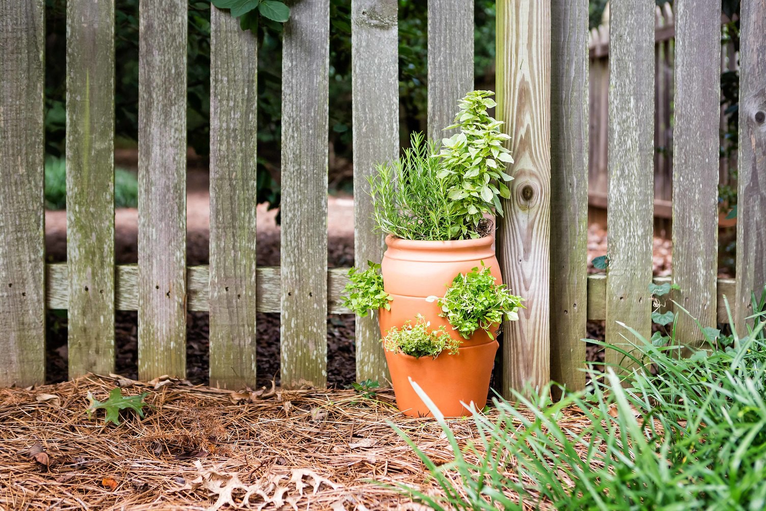slide 3 of 6, Pennington 7.25-in W x 8.25-in L Orange Clay Indoor/Outdoor Planter, 1 ct