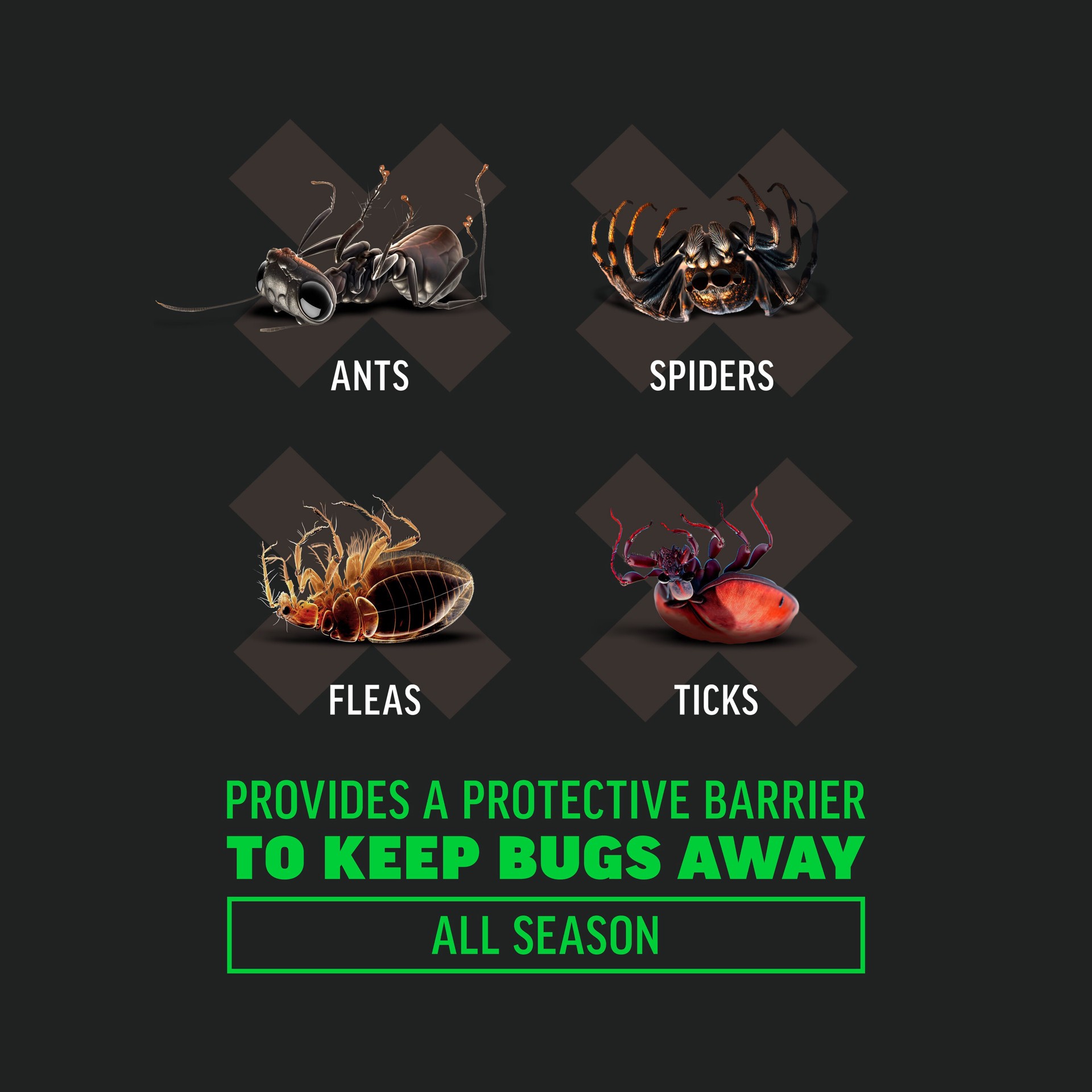 slide 4 of 6, AMDRO Quick Kill Home Perimeter 2 -lb Insect killer, 1 ct