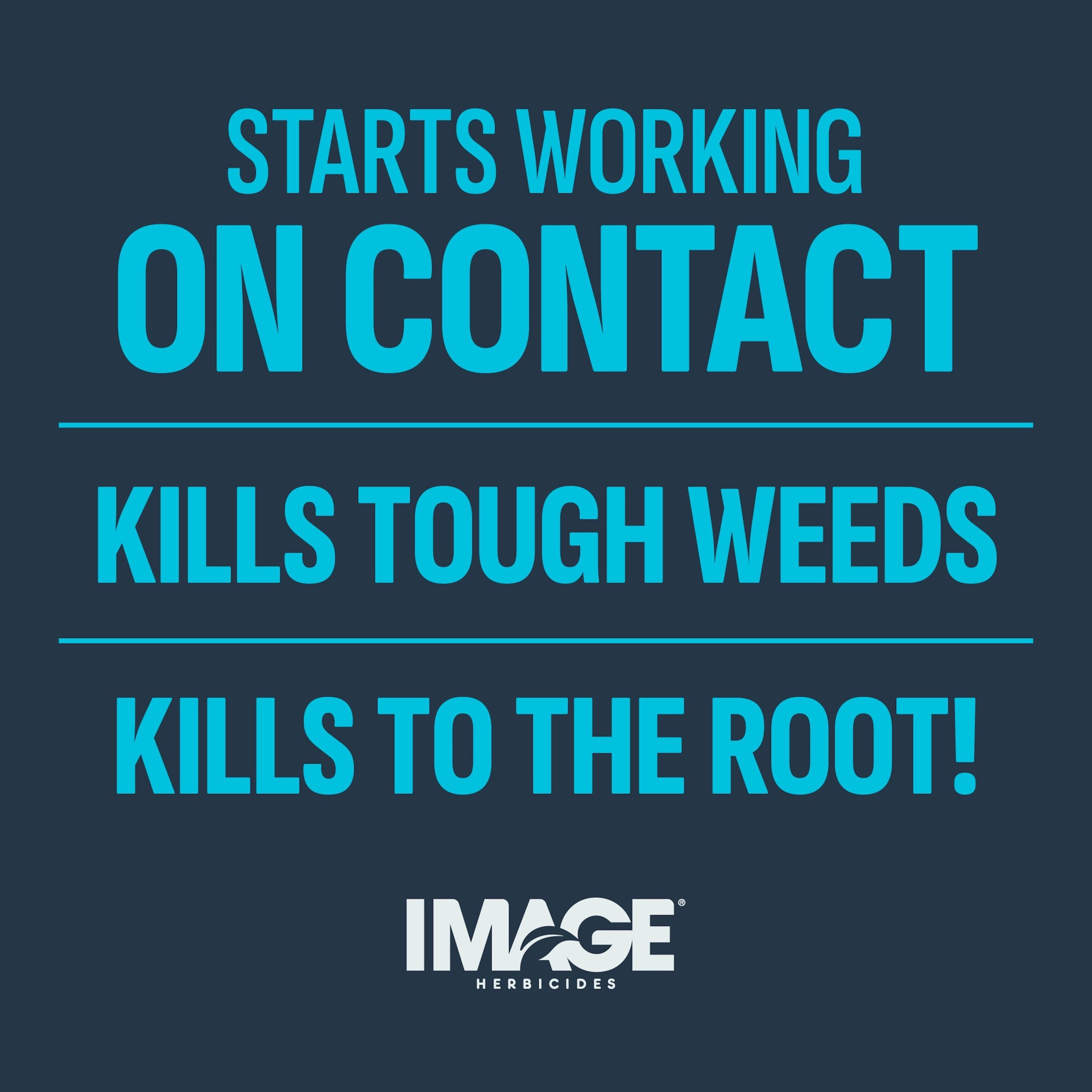 slide 6 of 6, IMAGE All In One RTS 24 -oz Hose end sprayer Lawn Weed Killer, 1 ct