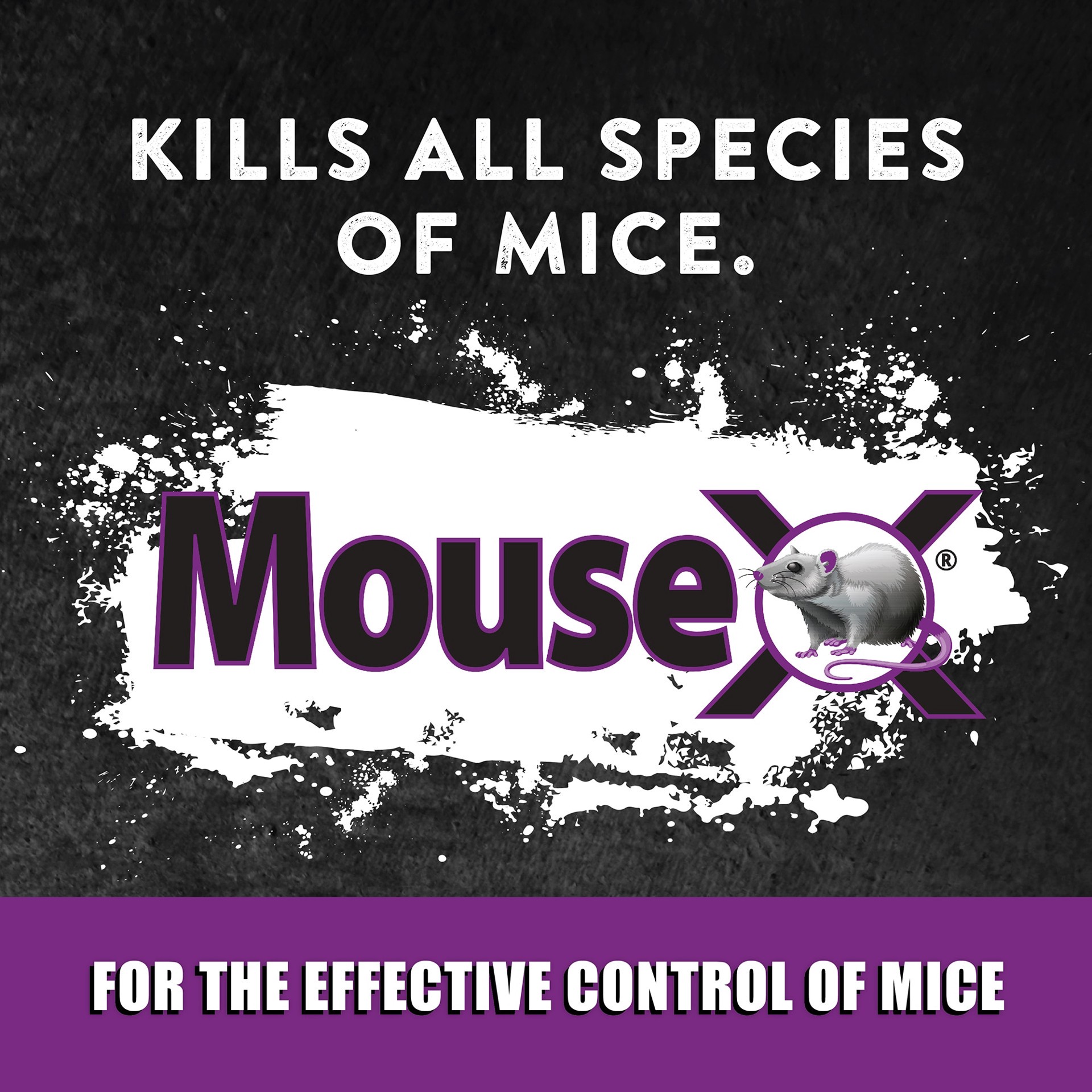 slide 3 of 6, MouseX Bait Tray Mouse Killer, 1 ct