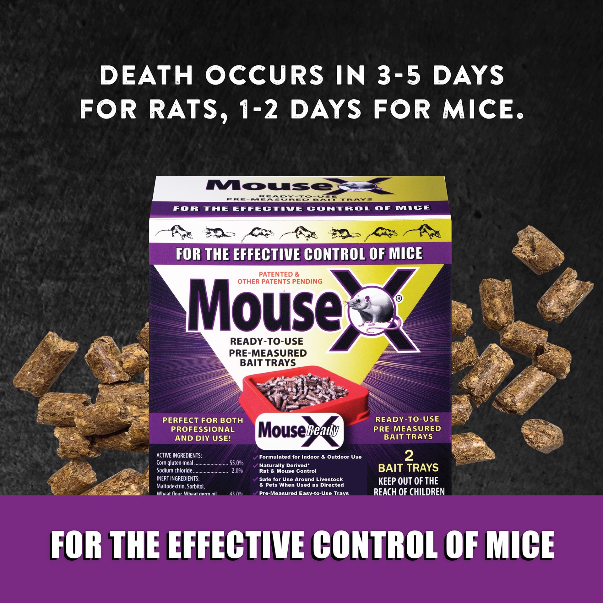 slide 6 of 6, MouseX Bait Tray Mouse Killer, 1 ct