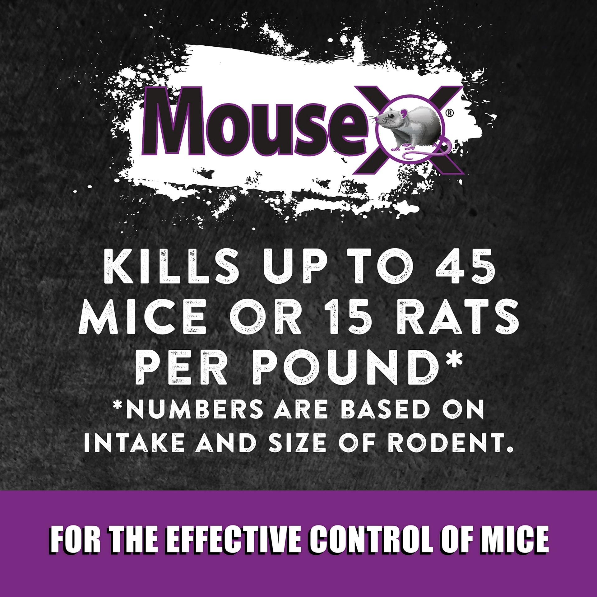 slide 4 of 6, MouseX Bait Tray Mouse Killer, 1 ct