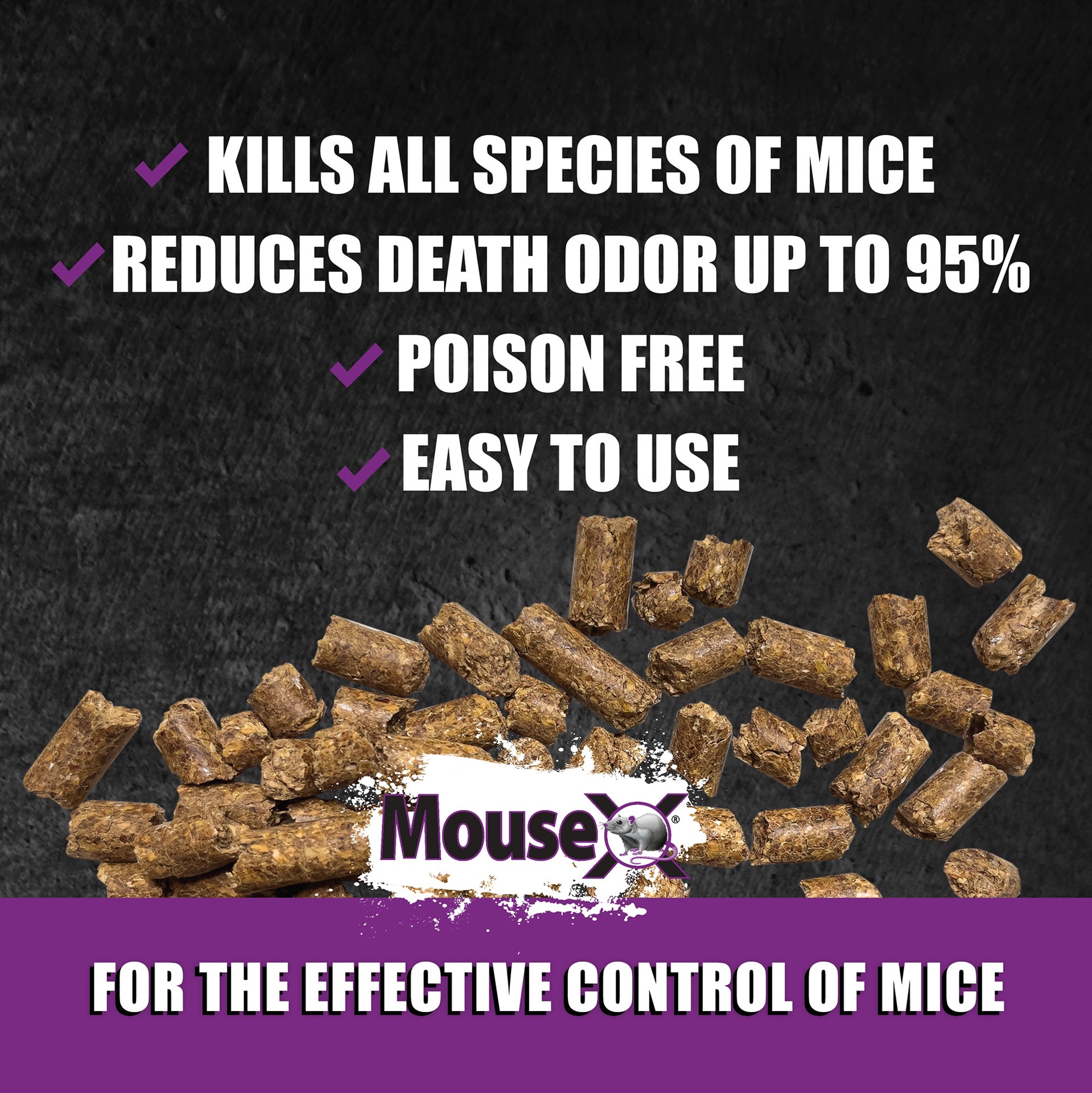 slide 5 of 6, MouseX Bait Tray Mouse Killer, 1 ct