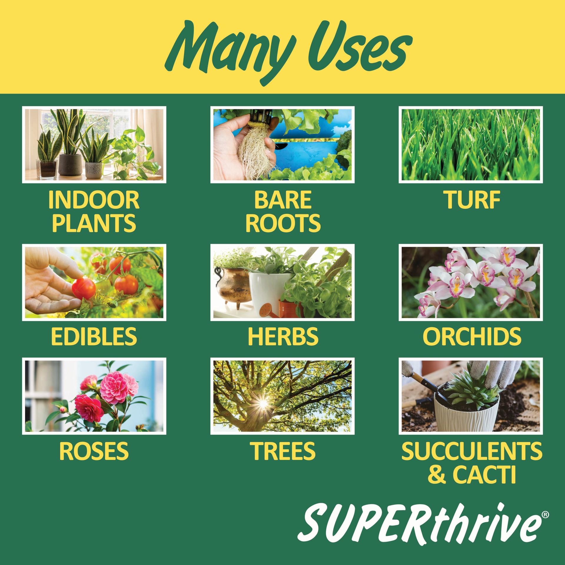 slide 2 of 6, SUPERthrive 4-fl oz 0.5-0-0 Liquid All-purpose Food, 1 ct