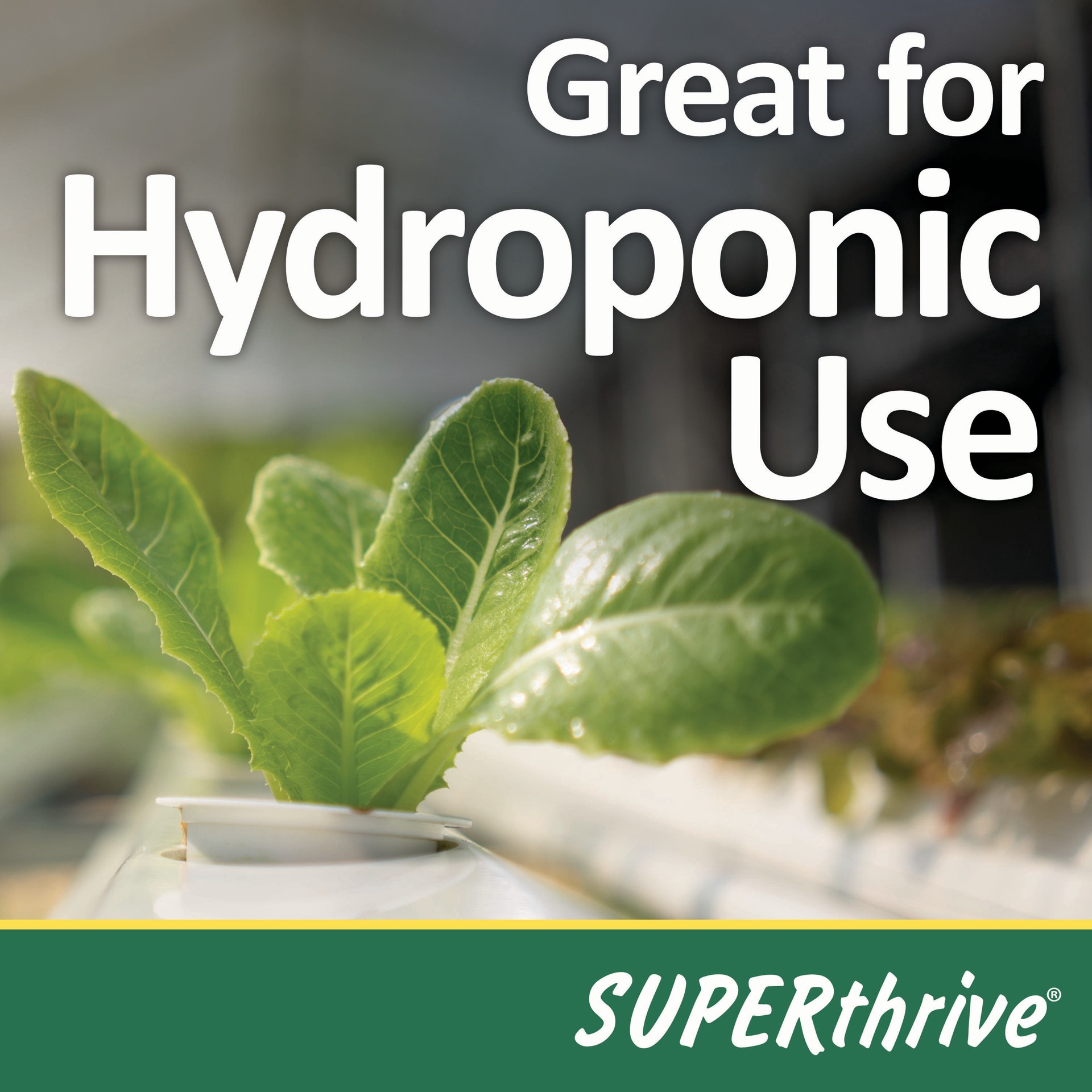slide 3 of 6, SUPERthrive 4-fl oz 0.5-0-0 Liquid All-purpose Food, 1 ct