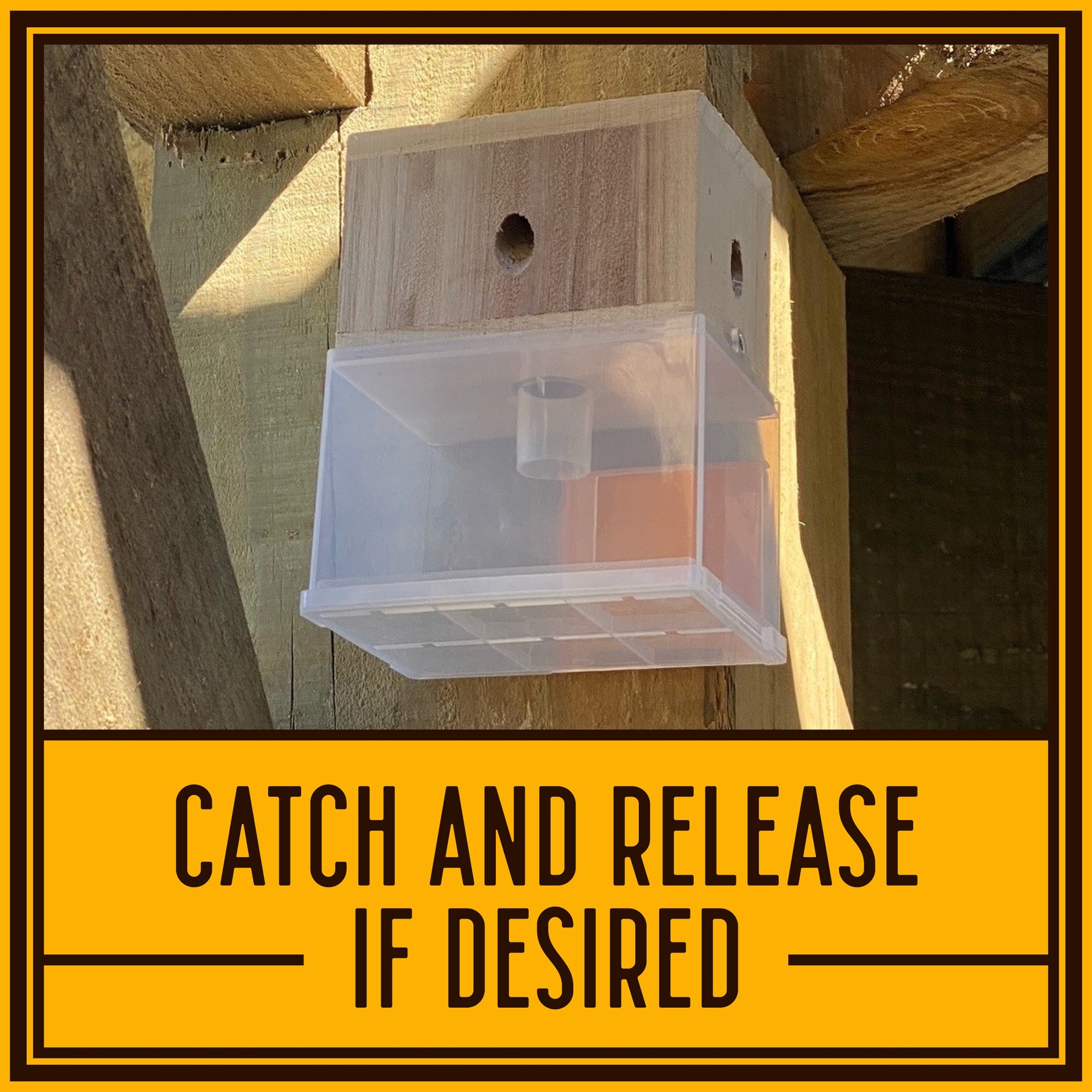 slide 5 of 6, BeesNThings Outdoor Carpenter bee trap, 1 ct