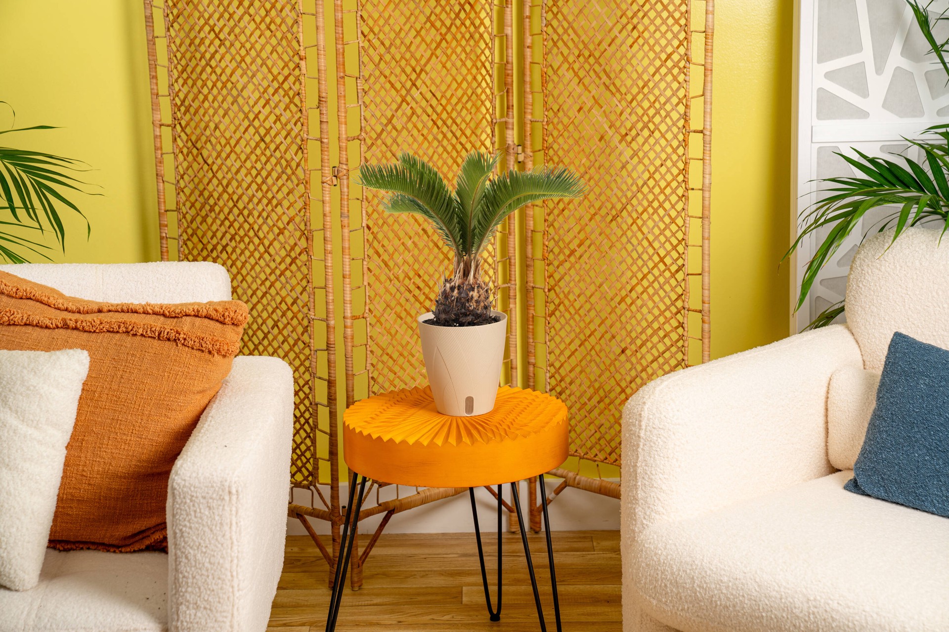 slide 4 of 6, Costa Farms Sago Palm House plant in 1.4 Quart(s) Self-watering pot 1 -Pack, 1 ct