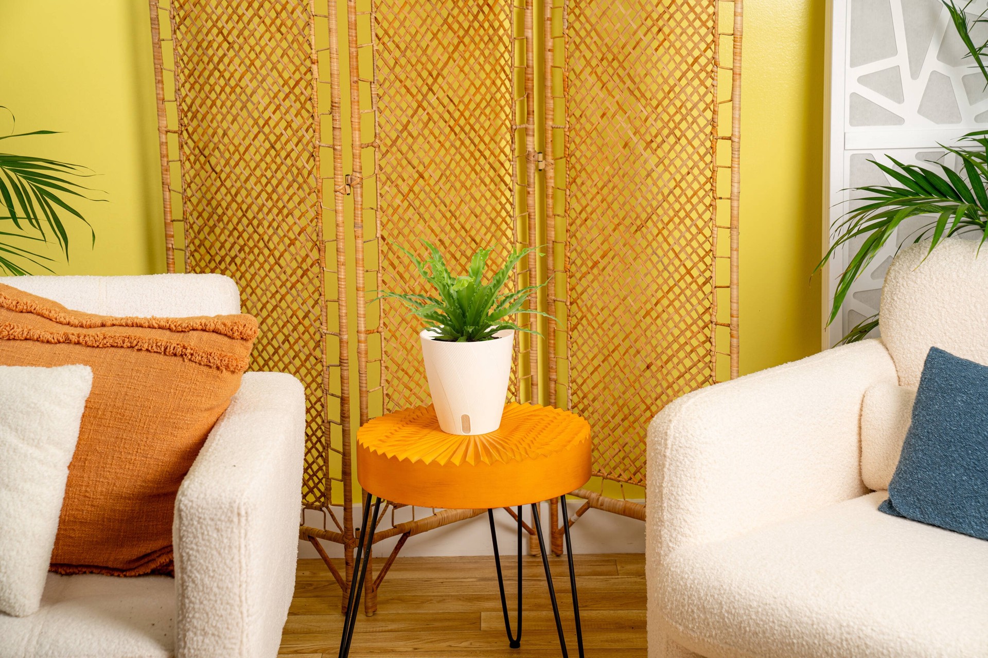 slide 4 of 6, Costa Farms Bird's Nest Fern House plant in 1.4 Quart(s) Self-watering pot 1 -Pack, 1 ct