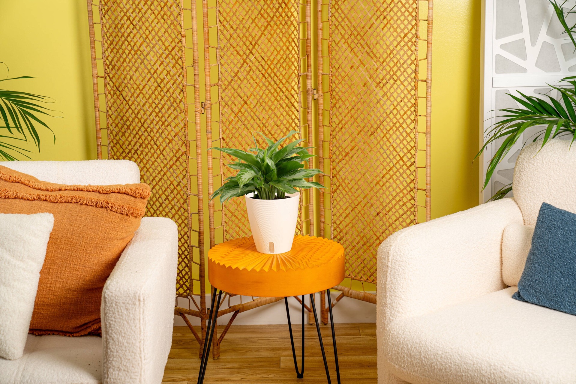 slide 5 of 6, Costa Farms Aglaonema House plant in 1.4 Quart(s) Self-watering pot 1 -Pack, 1 ct