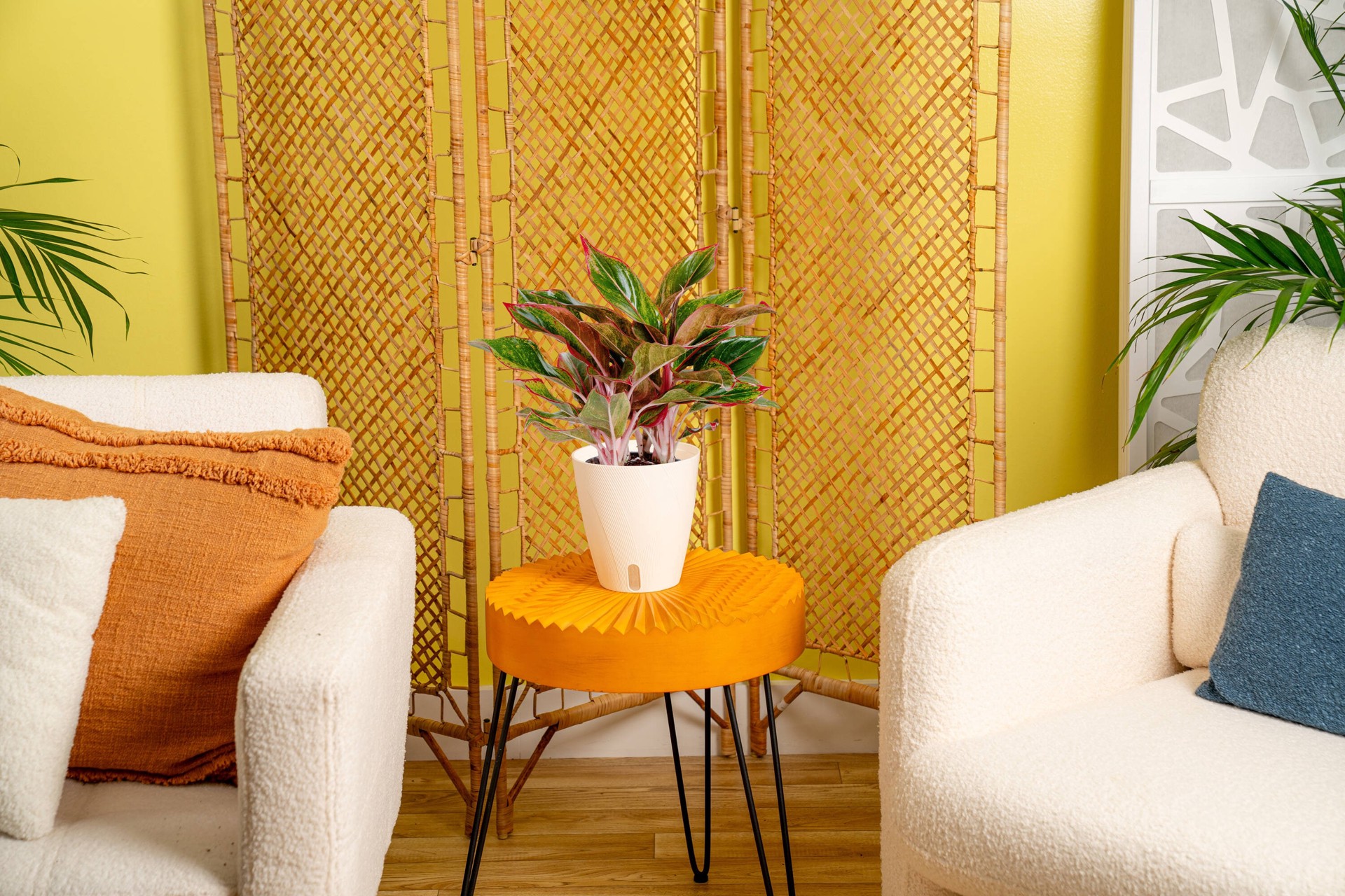 slide 6 of 6, Costa Farms Aglaonema House plant in 1.4 Quart(s) Self-watering pot 1 -Pack, 1 ct