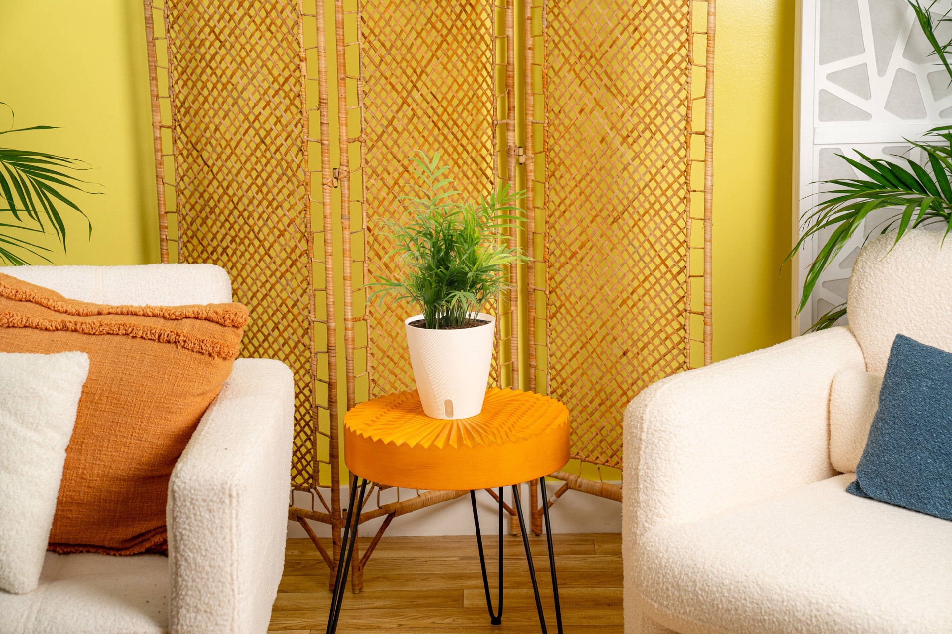 slide 4 of 6, Costa Farms Parlor Palm House plant in 1.4 Quart(s) Self-watering pot 1 -Pack, 1 ct