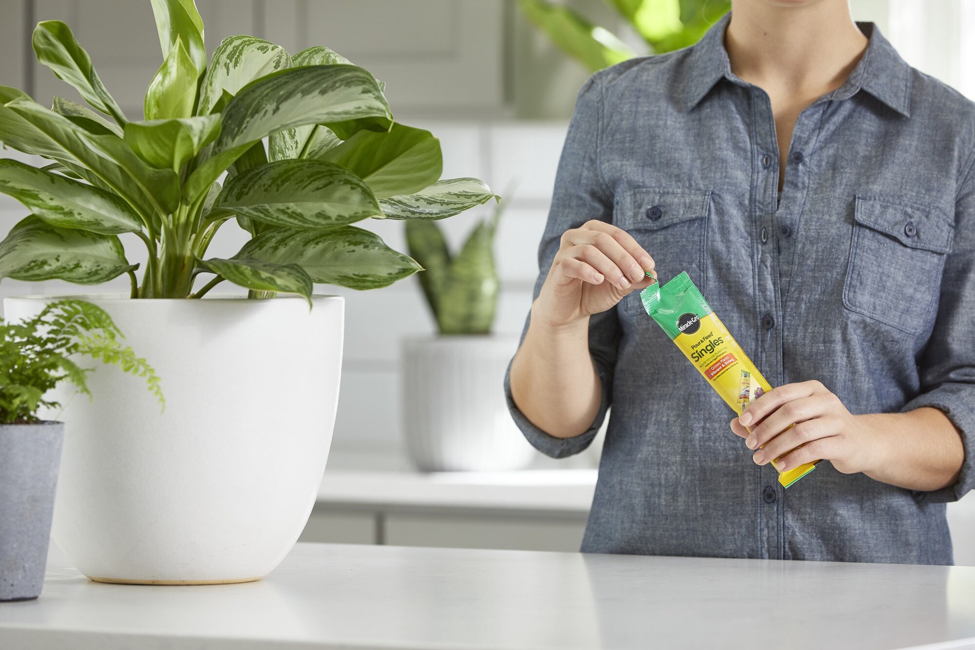 slide 5 of 6, Miracle-Gro Pour Feed Singles Ready-to-Use 2-fl oz 0.02-0.02-0.02 Liquid All-purpose Food, 1 ct