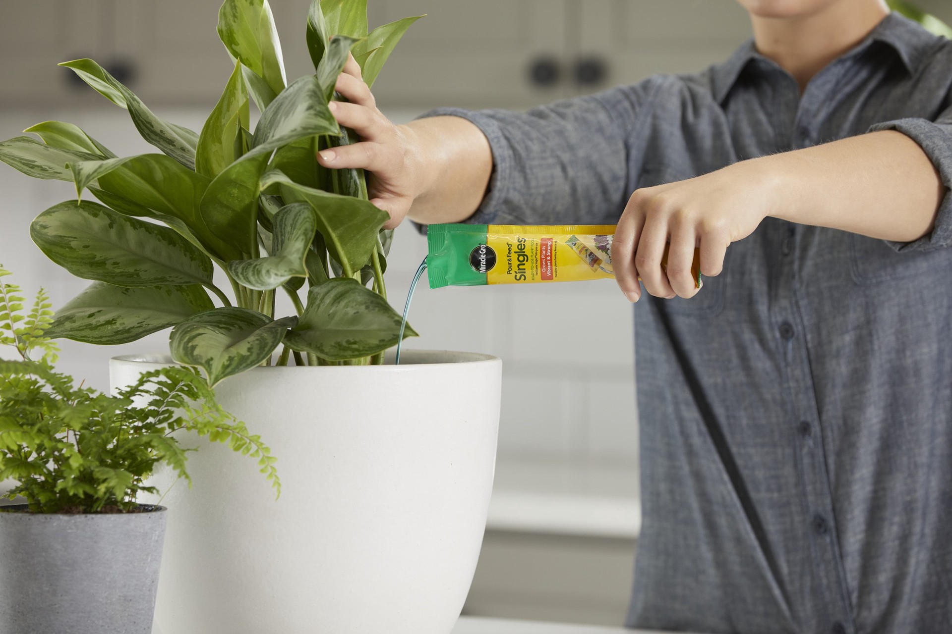 slide 6 of 6, Miracle-Gro Pour Feed Singles Ready-to-Use 2-fl oz 0.02-0.02-0.02 Liquid All-purpose Food, 1 ct