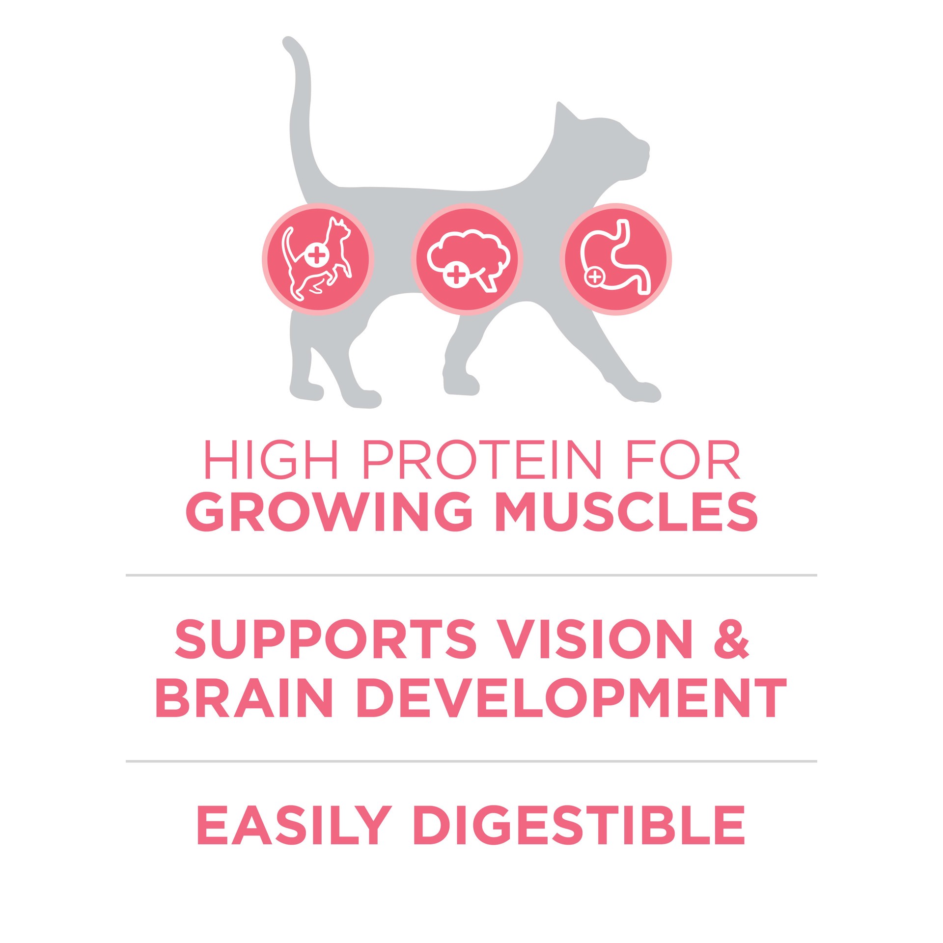 slide 3 of 6, Nestle Purina Purina One +Plus Dry Cat Food Up To 1 Year Chicken 3.5lb Bag - High Protein Kitten Food with DHA for Vision & Immune Support, 1 ct